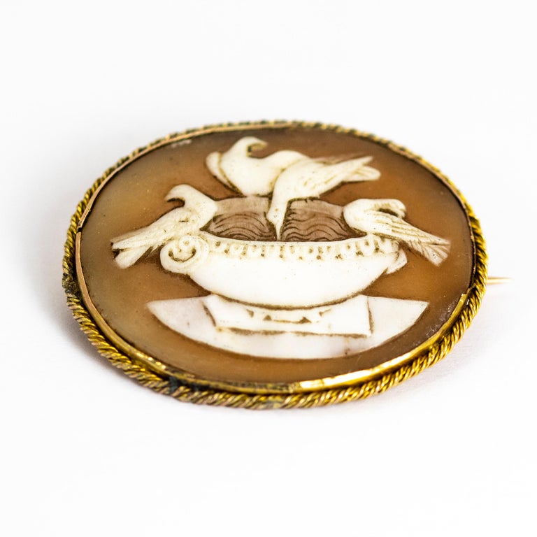 Victorian Gold Cameo Dove Brooch In Good Condition For Sale In Chipping Campden, GB