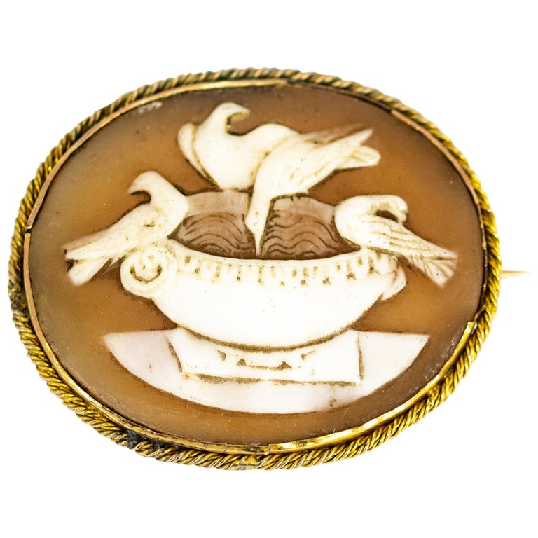 Victorian Gold Cameo Dove Brooch For Sale