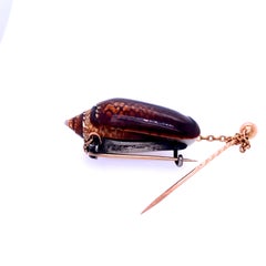 Victorian Gold Filled Shell Pin