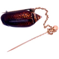 Victorian Gold Filled Shell Pin