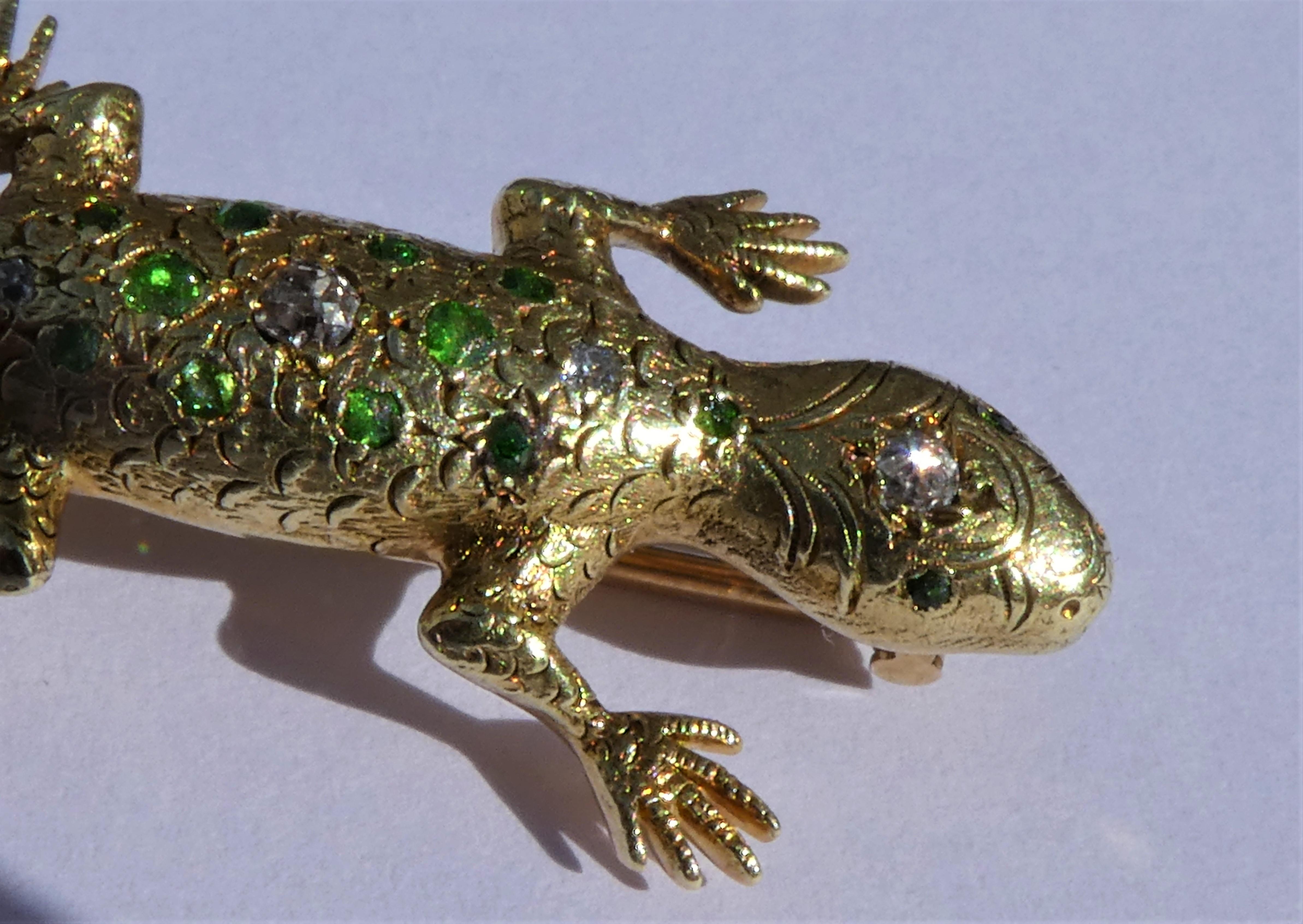 This lizard brooch was crafted circa 1890 by the American company A. J. Hedges & Co. of N. J. in 14 karat yellow gold. The lizard with its detailed engraving of the head, body, feet and tail looks naturalistic and is of timeless beauty even though