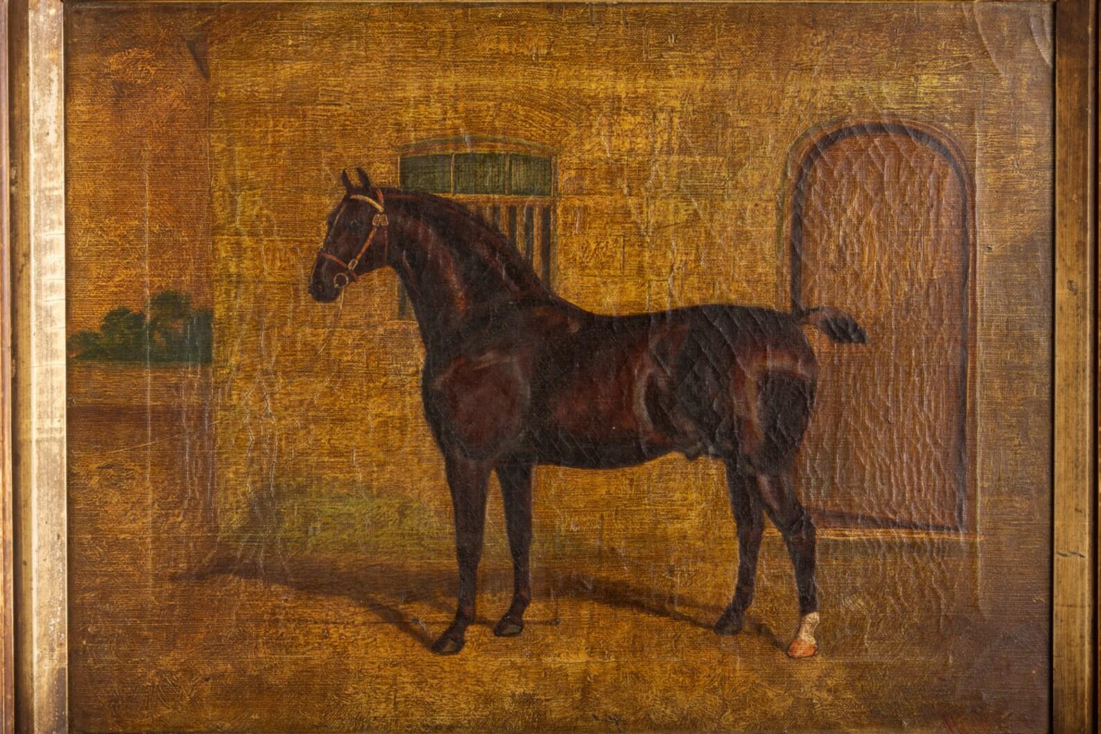 Victorian Horse-Equestrian Oil Painting On Canvas By Albert Clark In Good Condition For Sale In Portland, GB