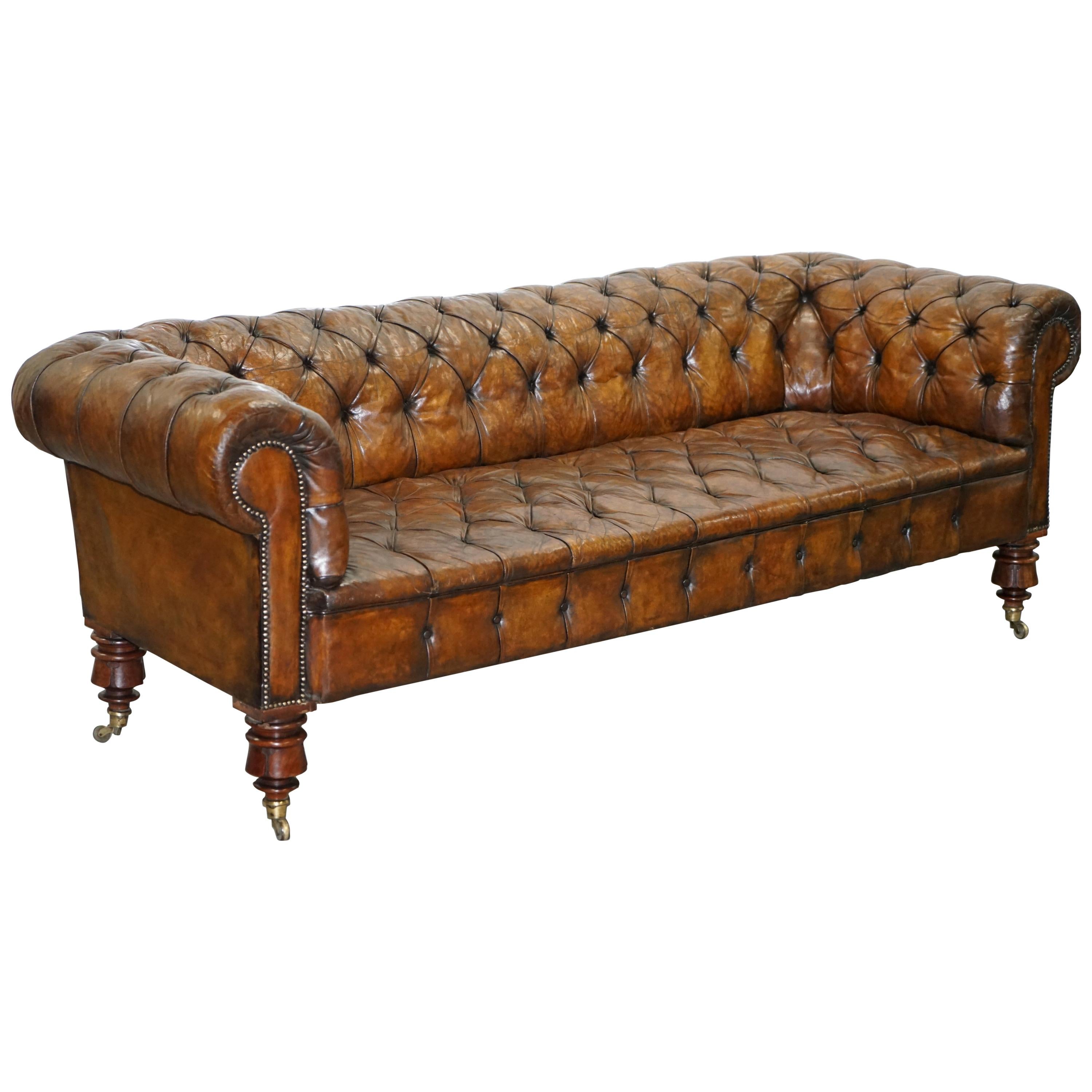 Victorian Horse Hair Fully Restored Brown Leather Chesterfield Sofa Redwood Leg