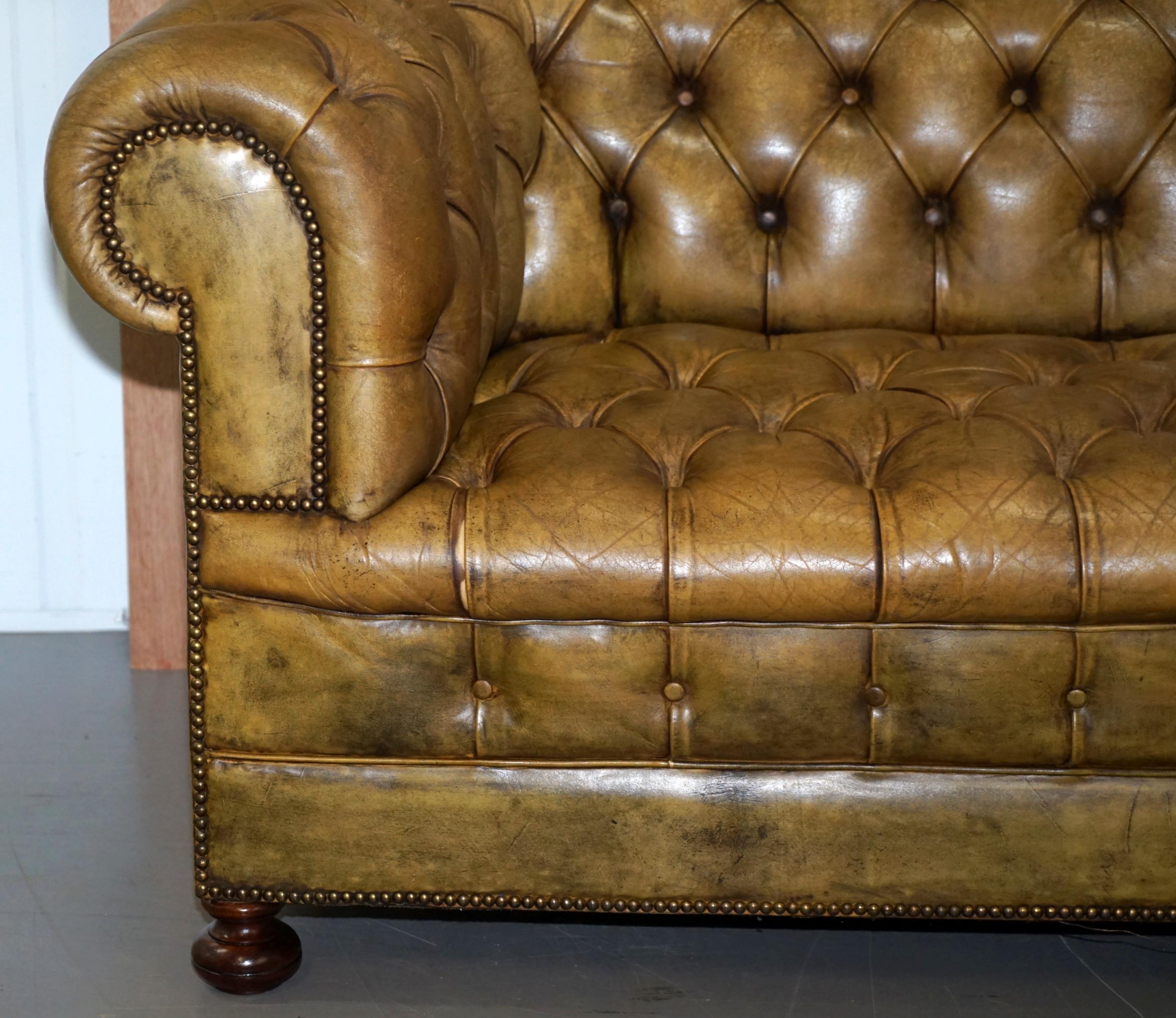 Victorian Horse Hair Green Hand Dyed Leather Chesterfield Fully Button Base Sofa For Sale 3