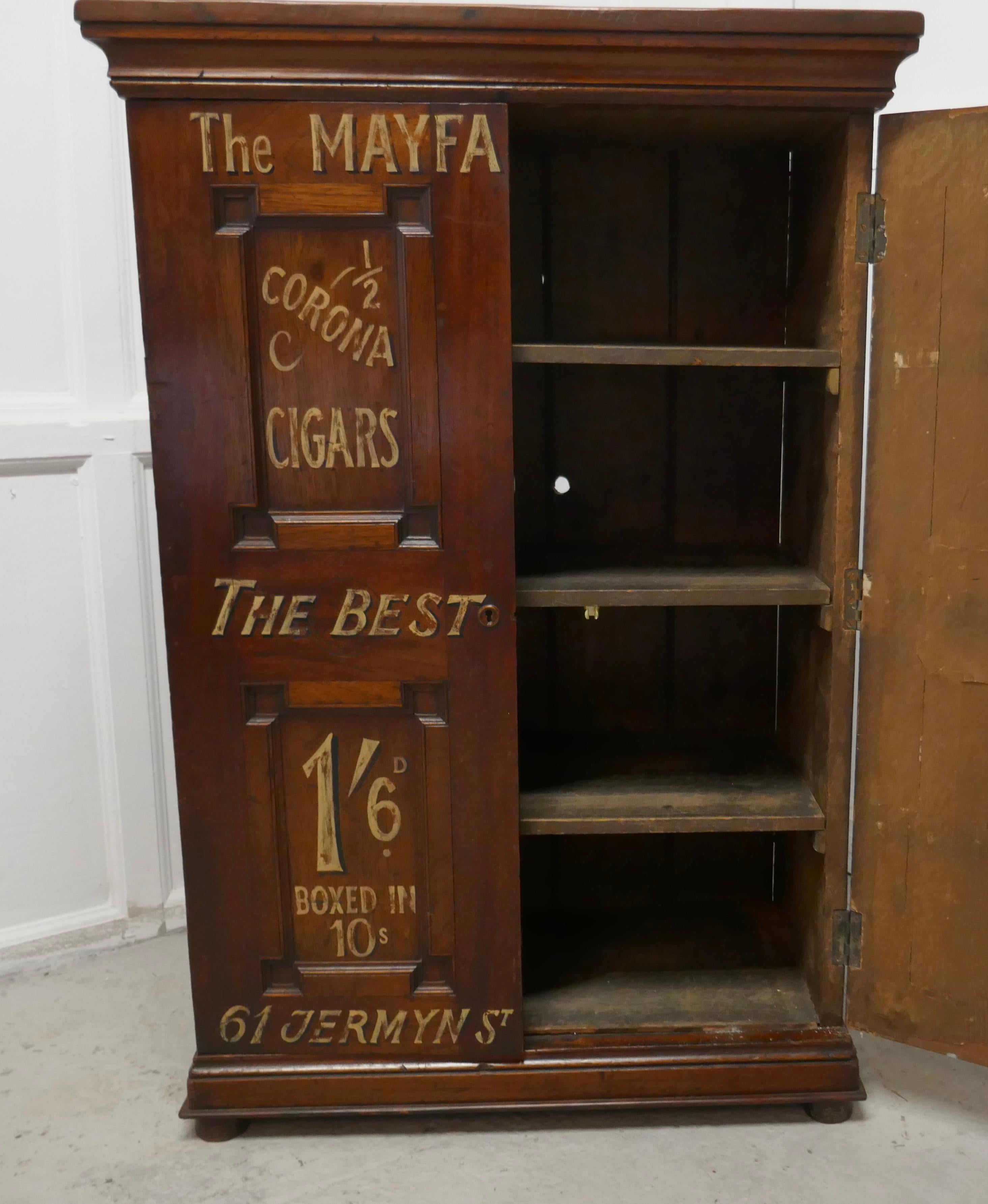 the humidor store