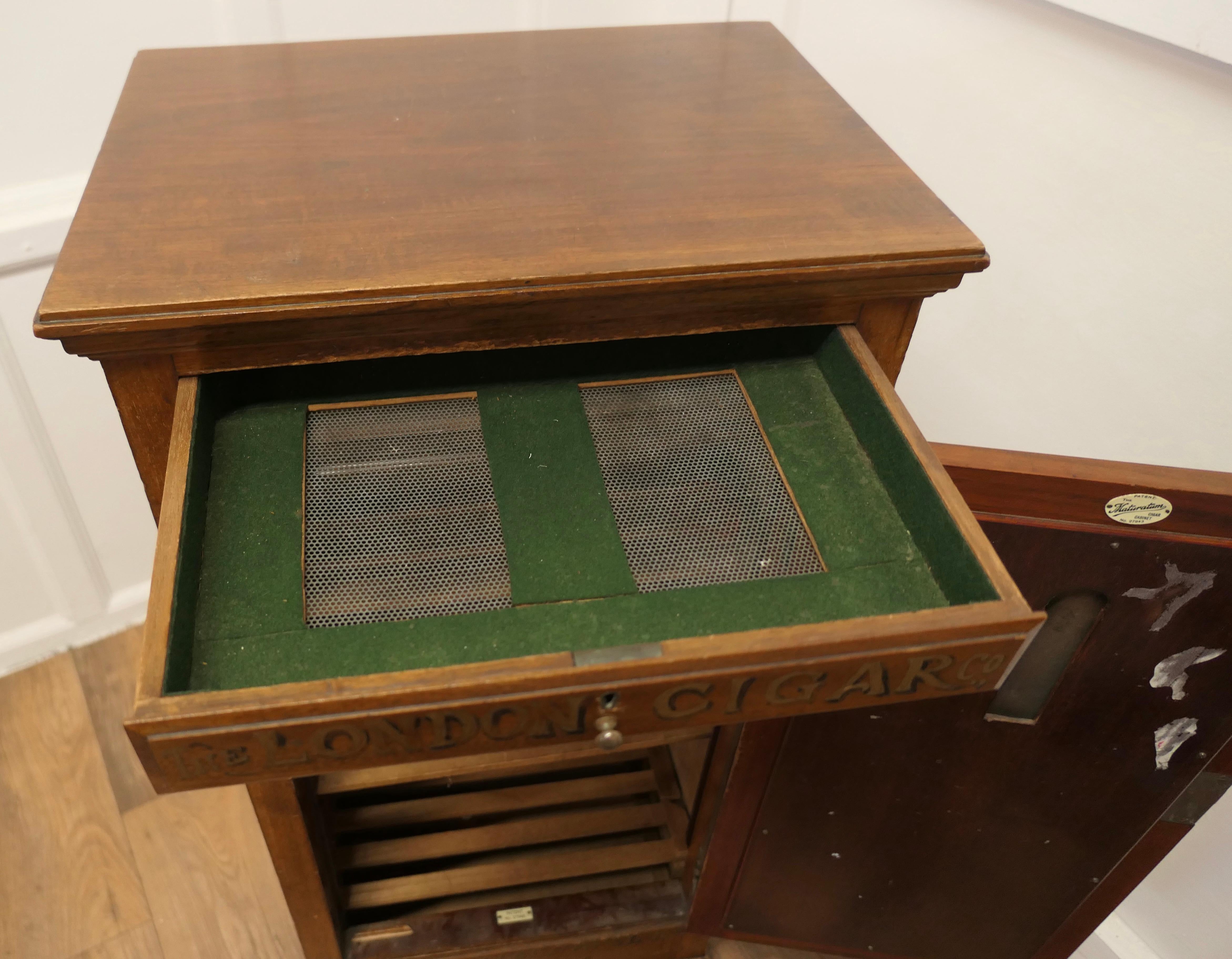Walnut Victorian Humidor Painted for The London Cigar Co Store Display