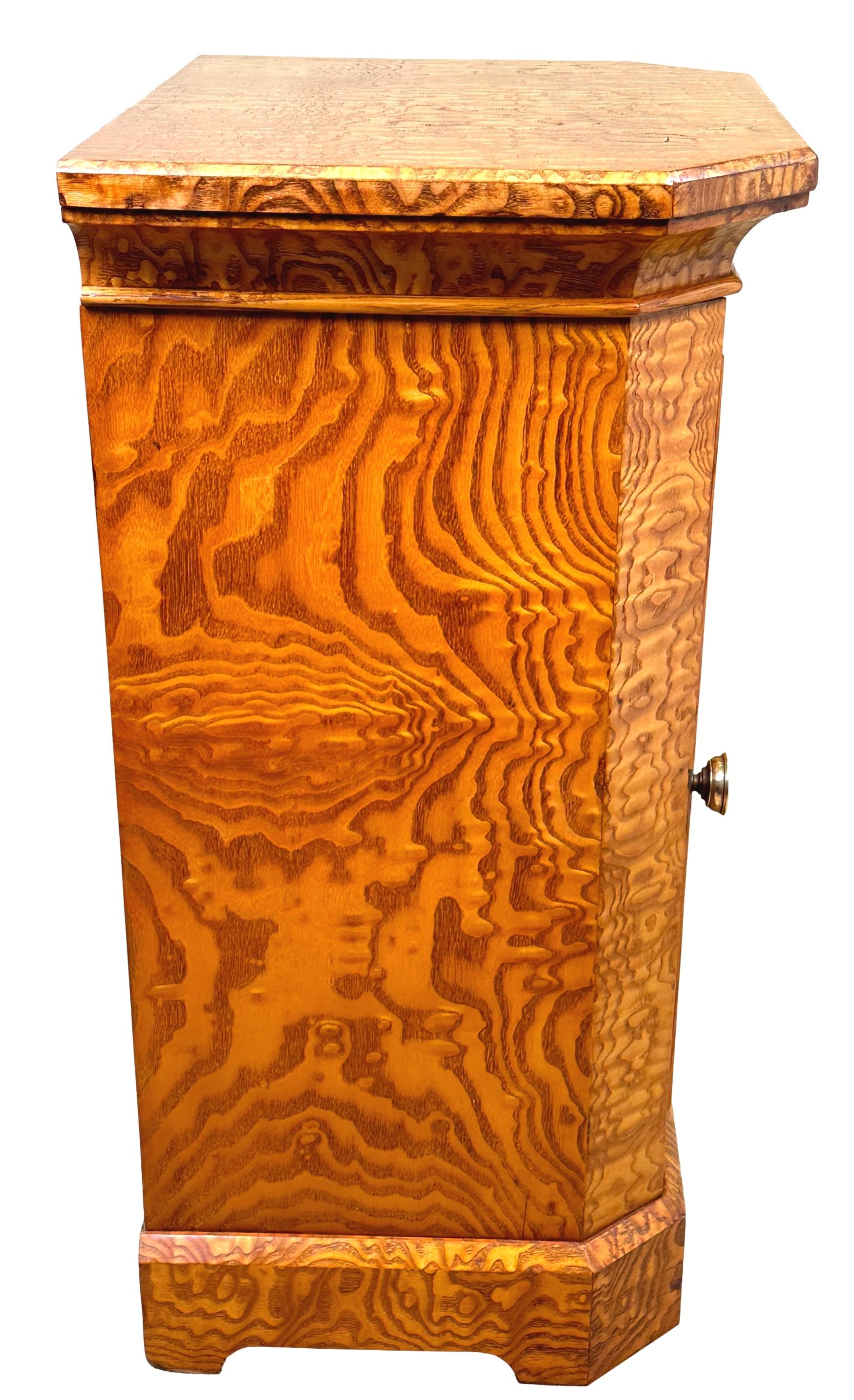 19th Century Victorian Hungarian Ash Bedside Cupboard For Sale