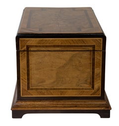Victorian Kingwood and Burr Walnut Jewelry Casket or Box
