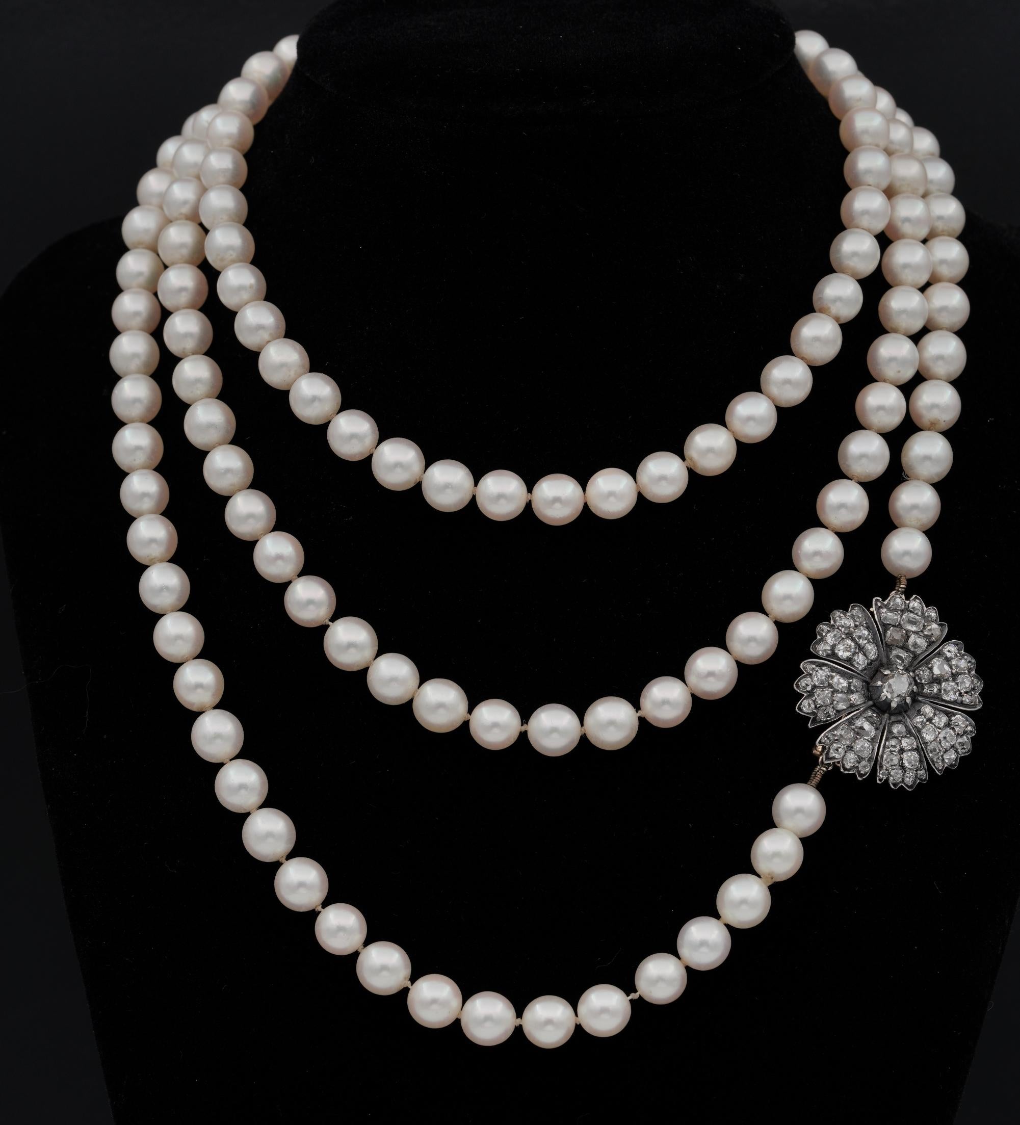 Timeless Appeal

An high desirable Victorian period long sautoir necklace, complemented with an amazing flower clasp with rich set of old mine cut Diamonds
Comprising a long strand of 142 antique 7.mm. well matched cultured salt sea Pearls, prizing