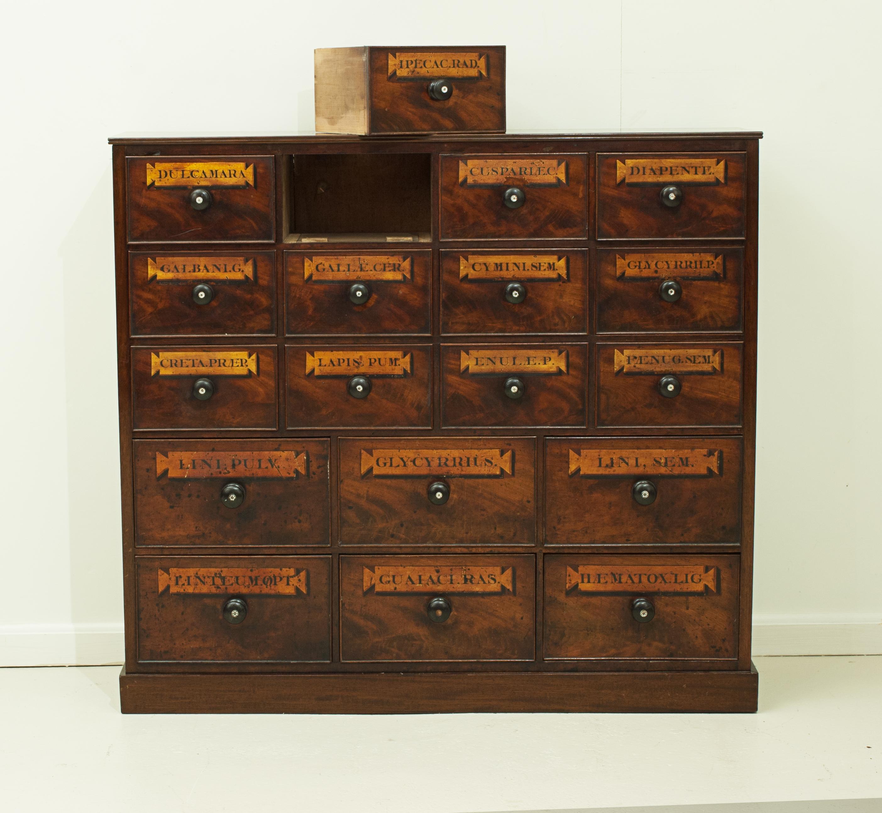 Victorian Mahogany 18-Drawer Chemist Apothecary Chest 7
