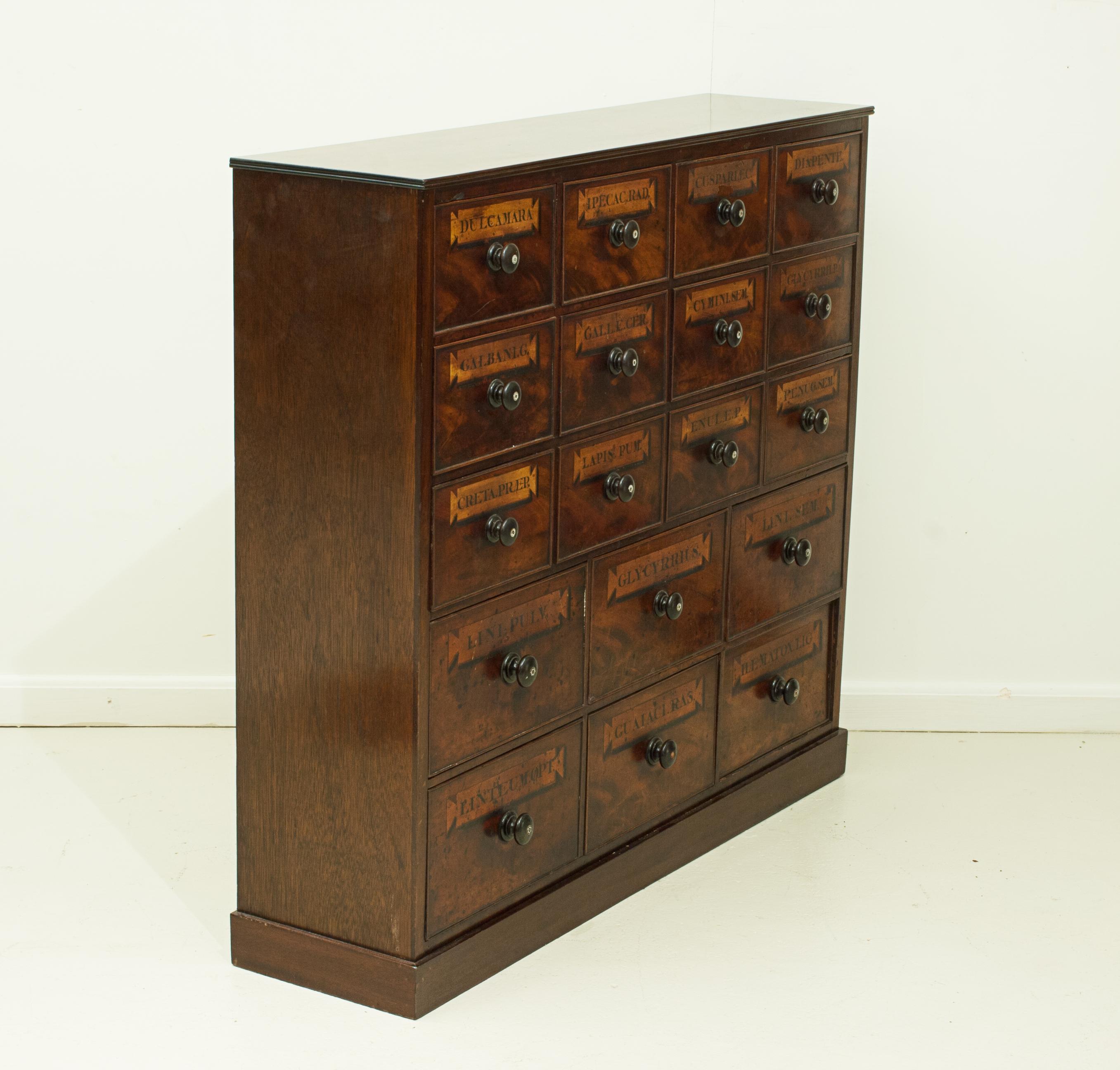 antique apothecary chest