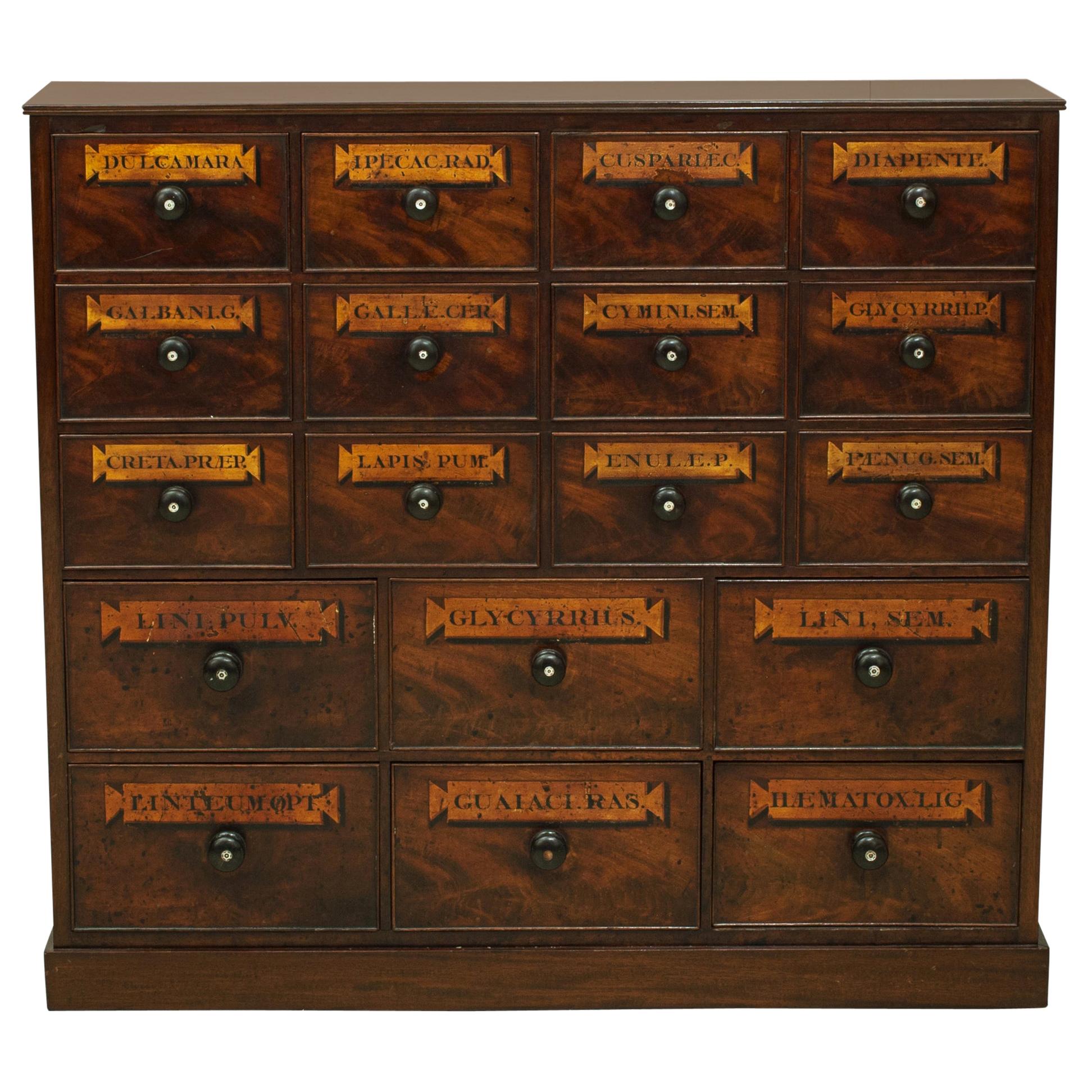 Victorian Mahogany 18-Drawer Chemist Apothecary Chest