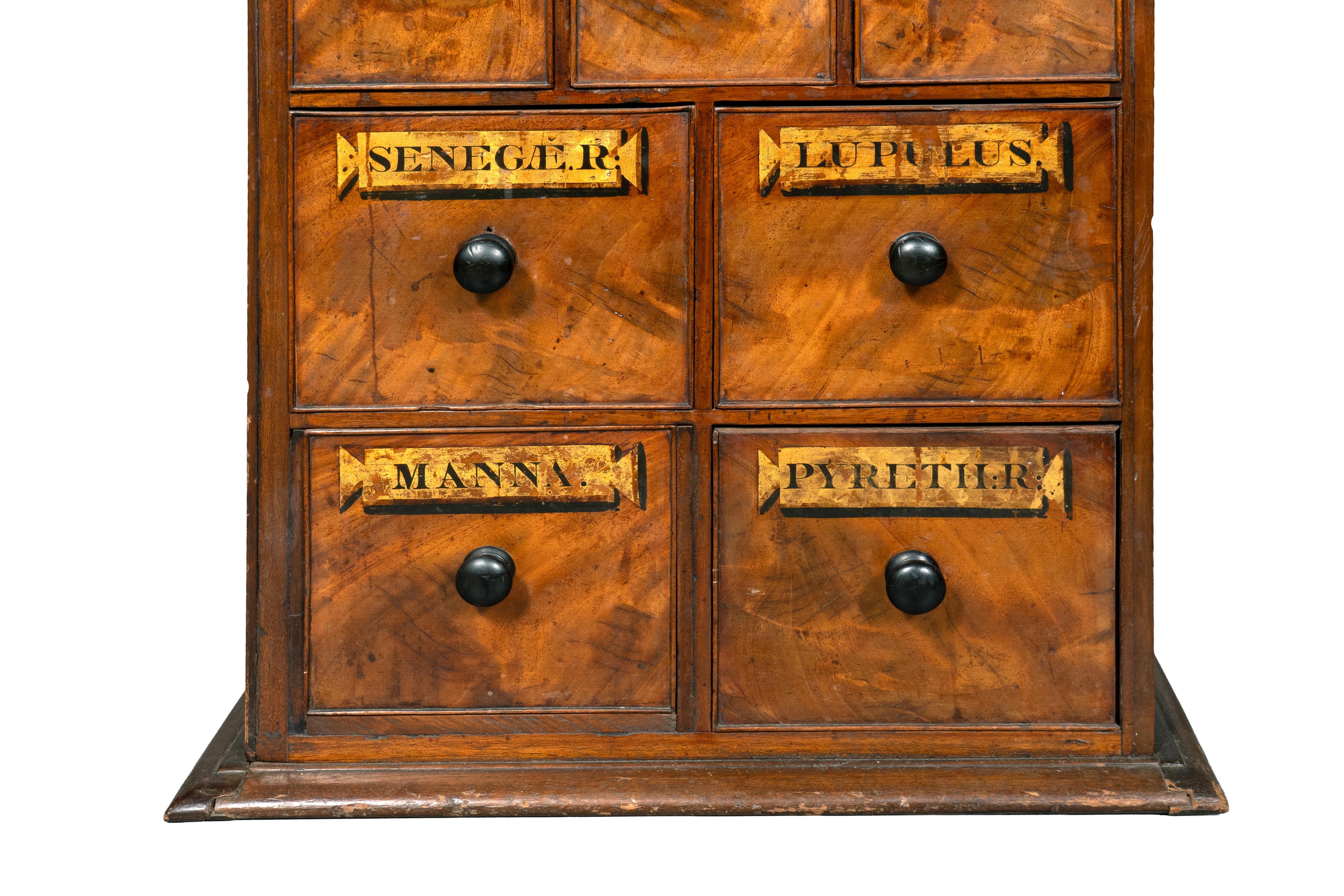 Victorian Mahogany Apothecary Chest For Sale 5