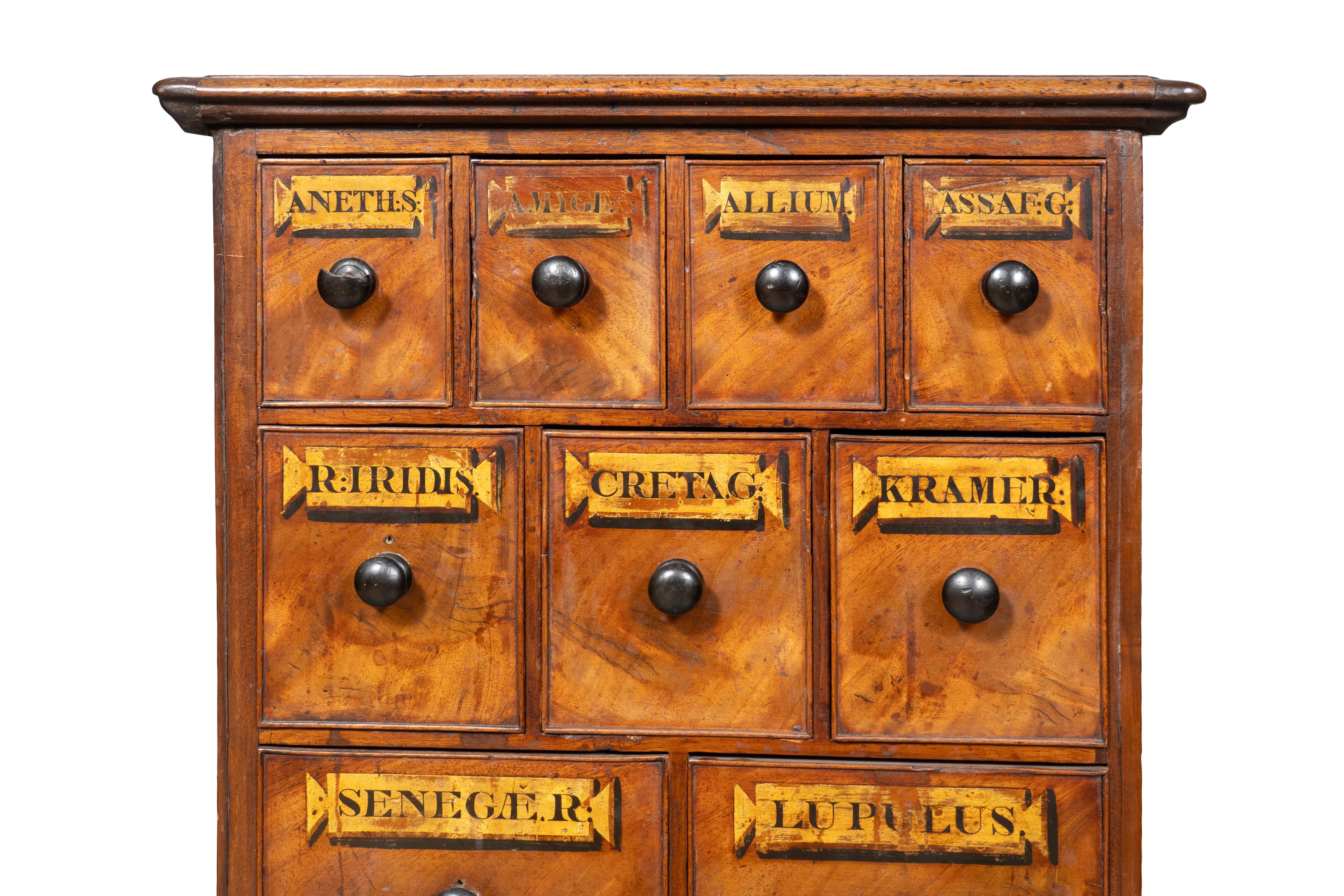 Victorian Mahogany Apothecary Chest For Sale 4