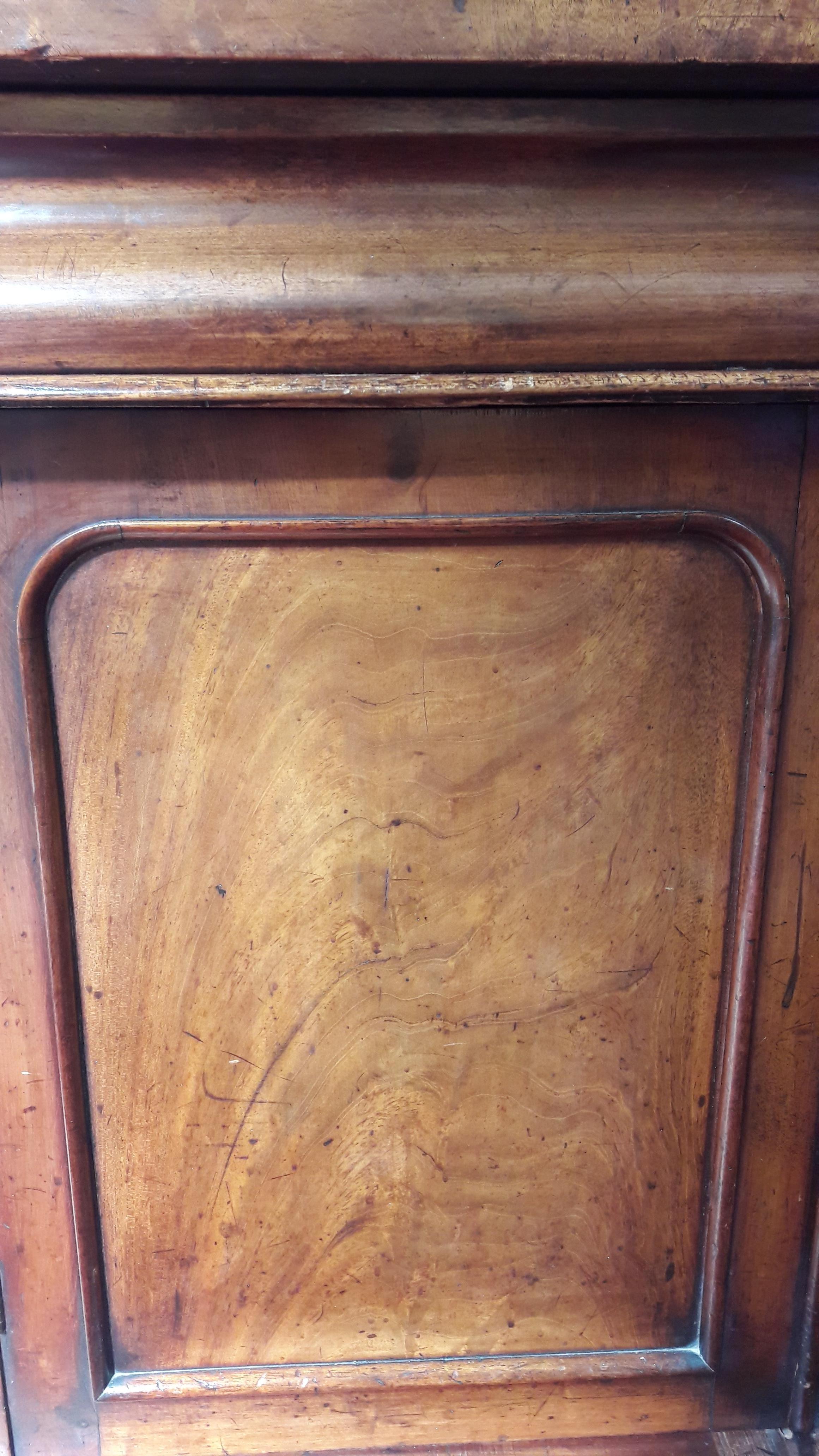 Victorian Mahogany Bookcase, 19th Century For Sale 1