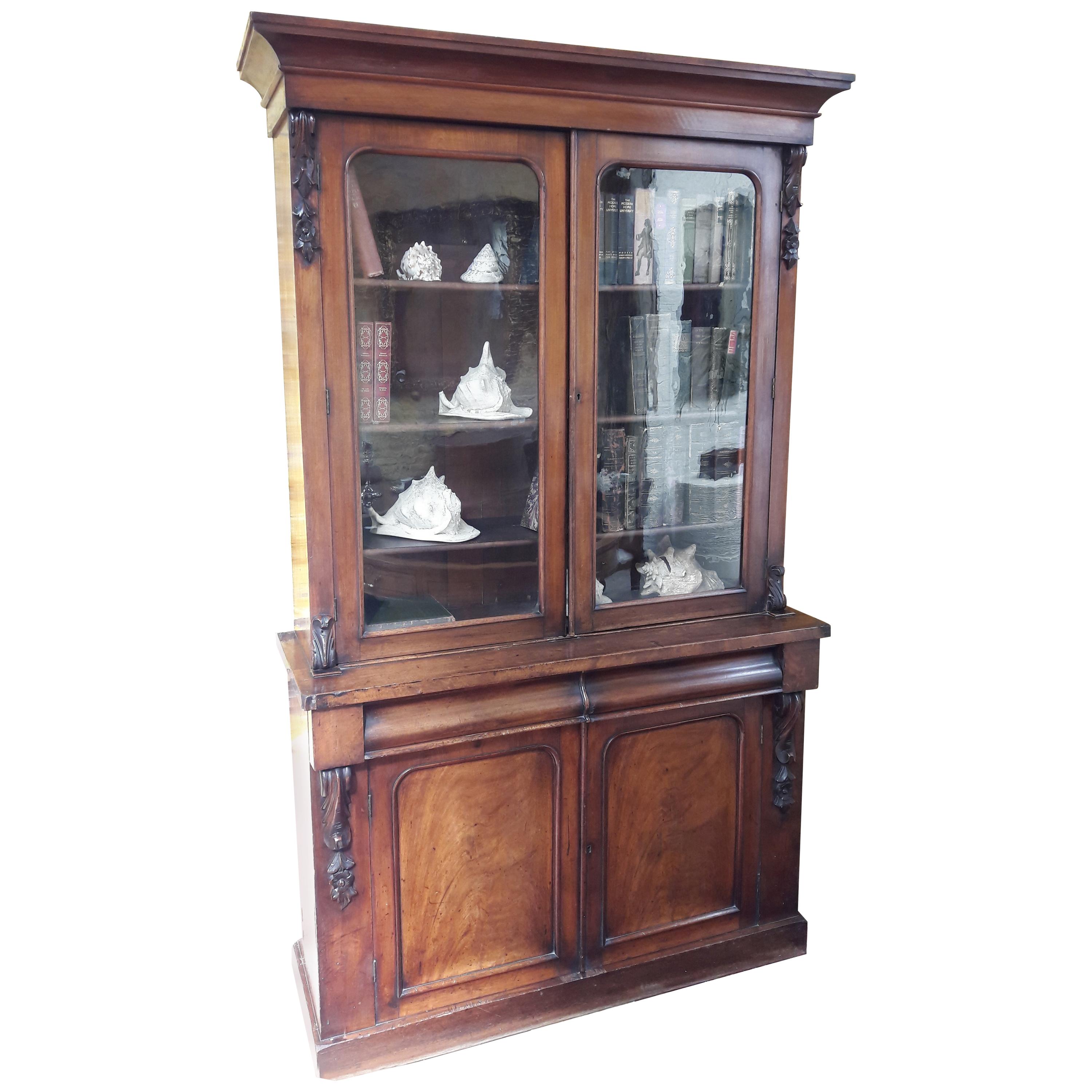 Victorian Mahogany Bookcase, 19th Century For Sale