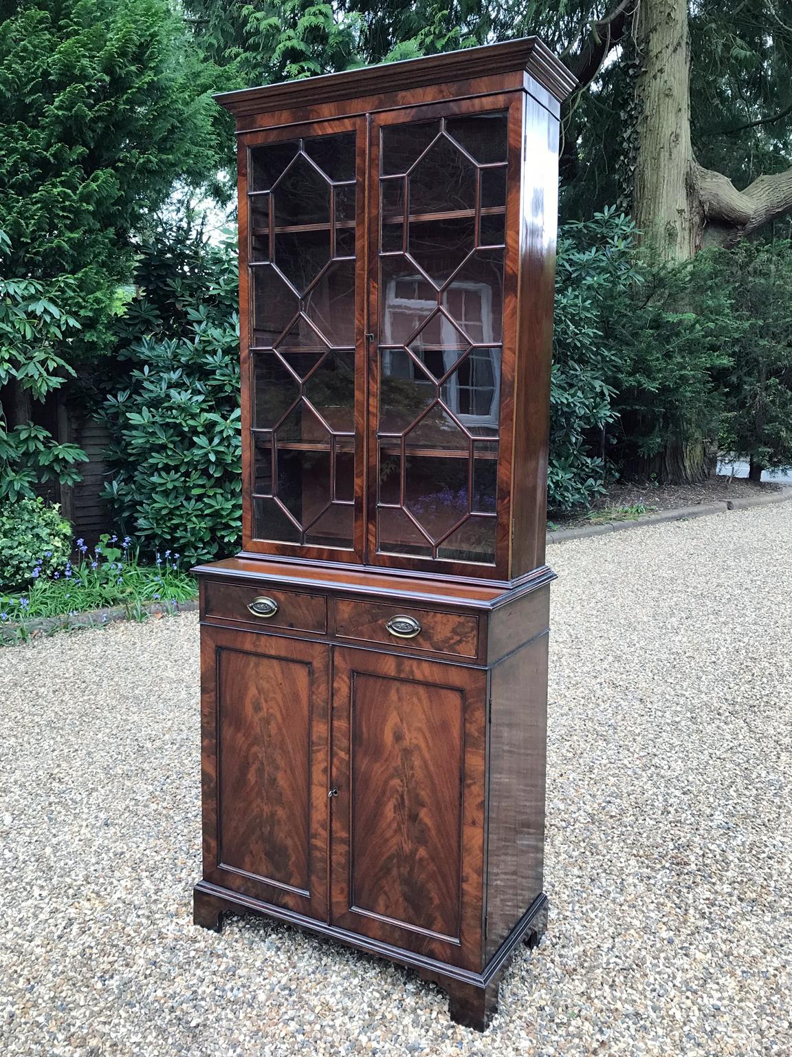 Late Victorian Victorian Mahogany Bookcase / Cupboard
