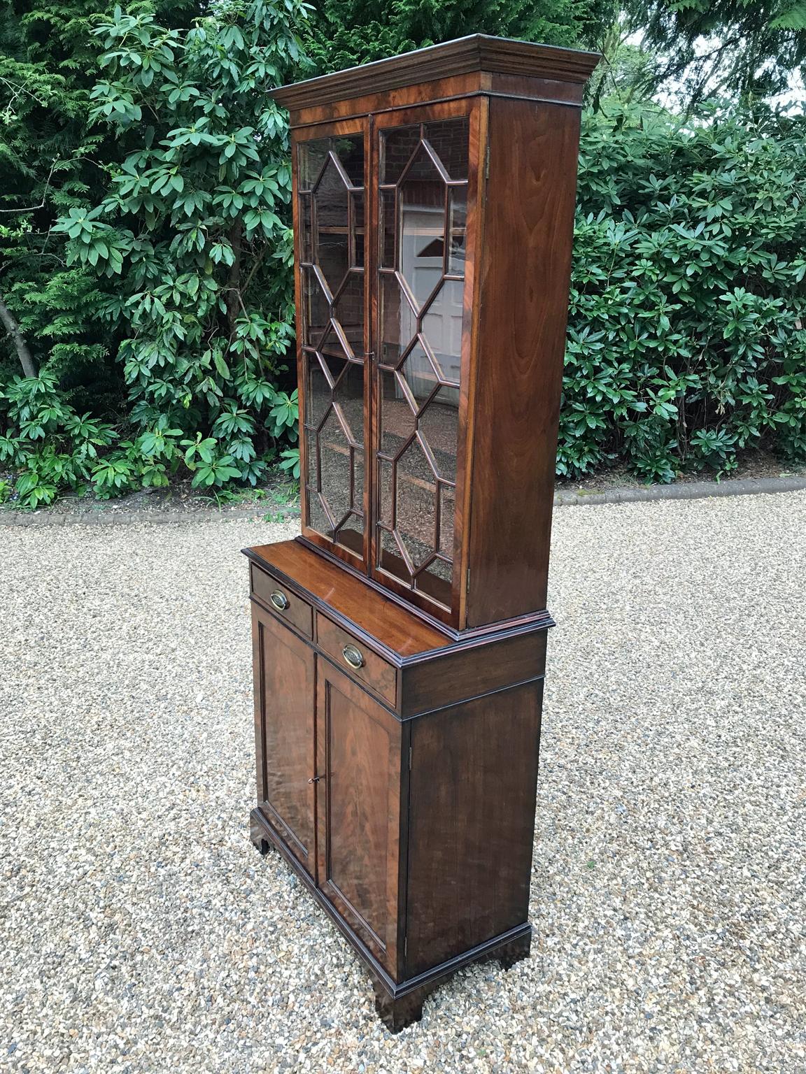 British Victorian Mahogany Bookcase / Cupboard