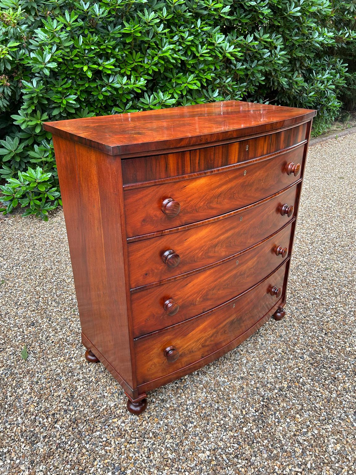 English Victorian Mahogany Bow Fronted Chest of Drawers