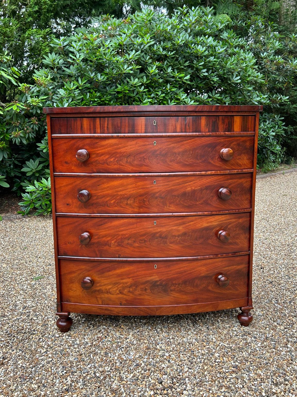 Victorian Mahogany Bow Fronted Chest of Drawers In Good Condition In Richmond, Surrey