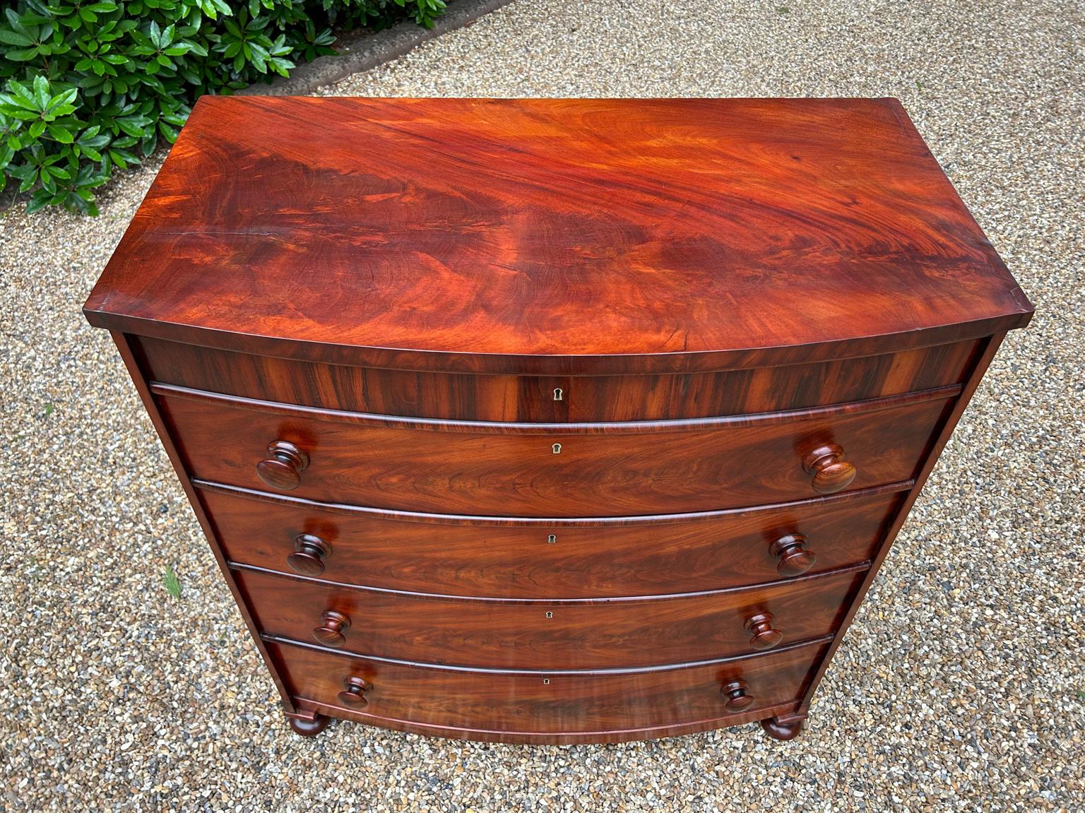 19th Century Victorian Mahogany Bow Fronted Chest of Drawers