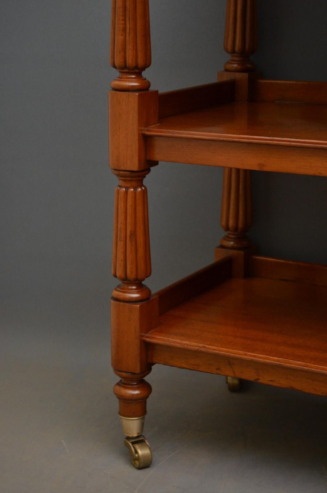 Victorian Mahogany Étagère, Whatnot In Good Condition In Whaley Bridge, GB