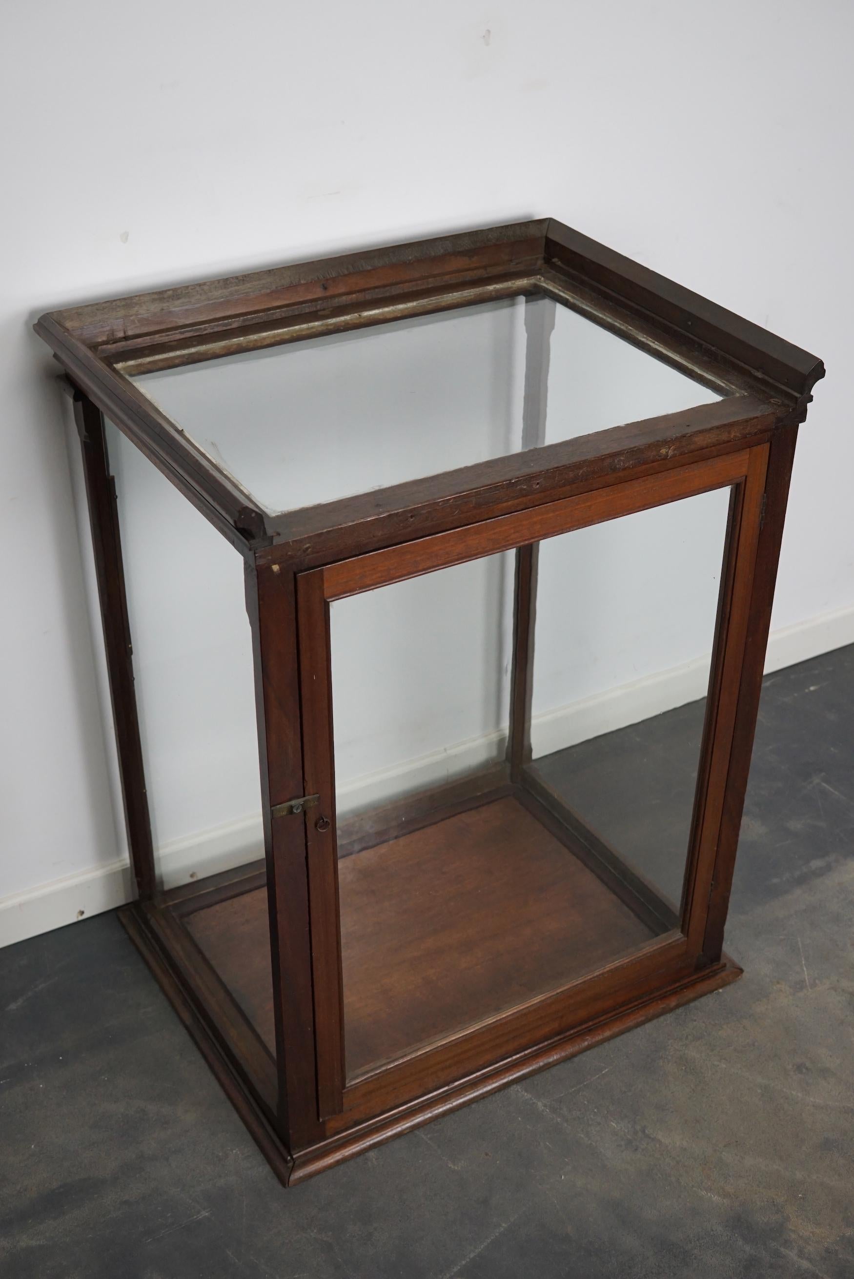 Victorian Mahogany Museum / Shop Display Cabinet or Vitrine, Late 19th Century For Sale 6