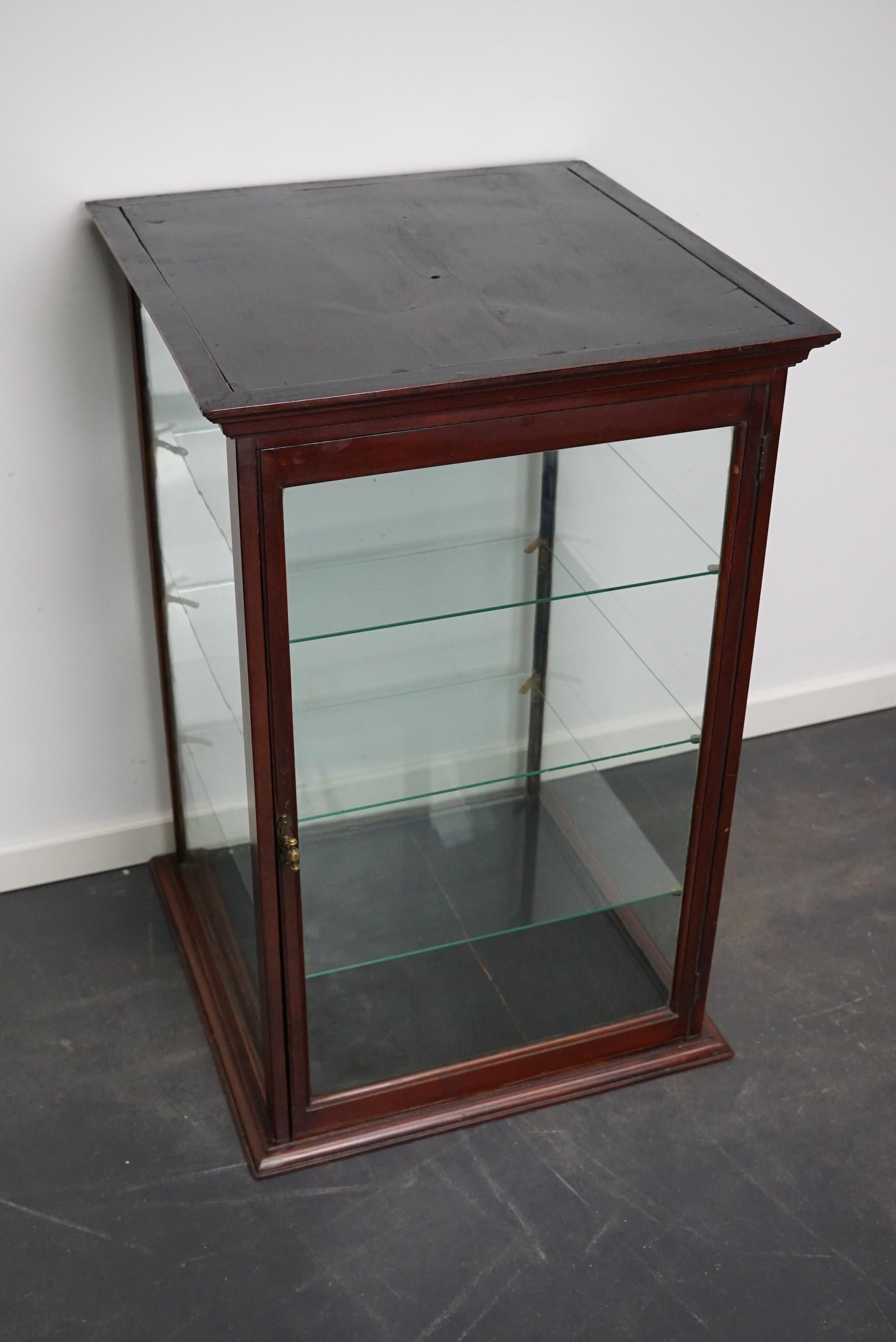 Victorian Mahogany Museum / Shop Display Cabinet or Vitrine, Late 19th Century 8