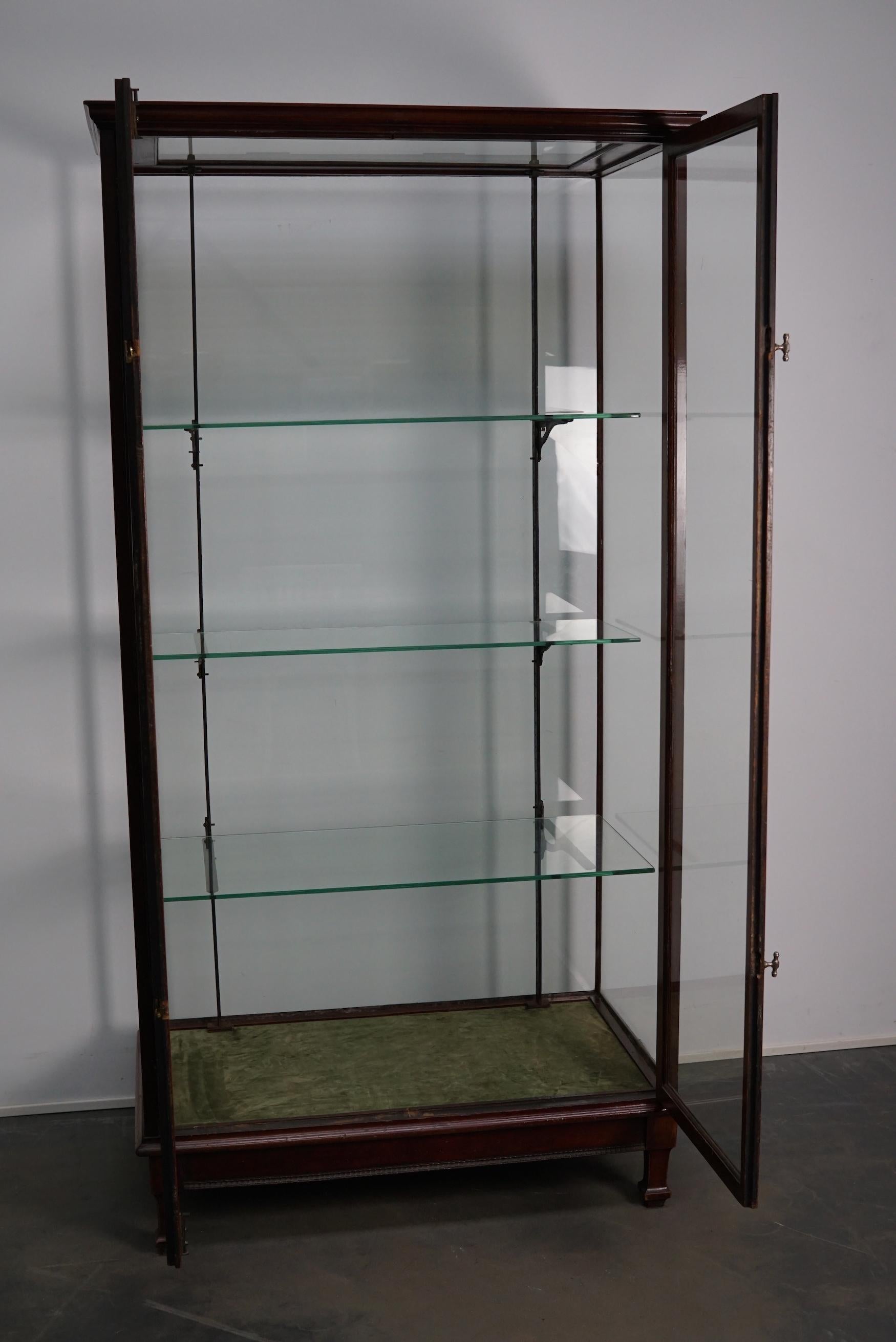 Victorian Mahogany Museum / Shop Display Cabinet or Vitrine, Late 19th Century For Sale 7
