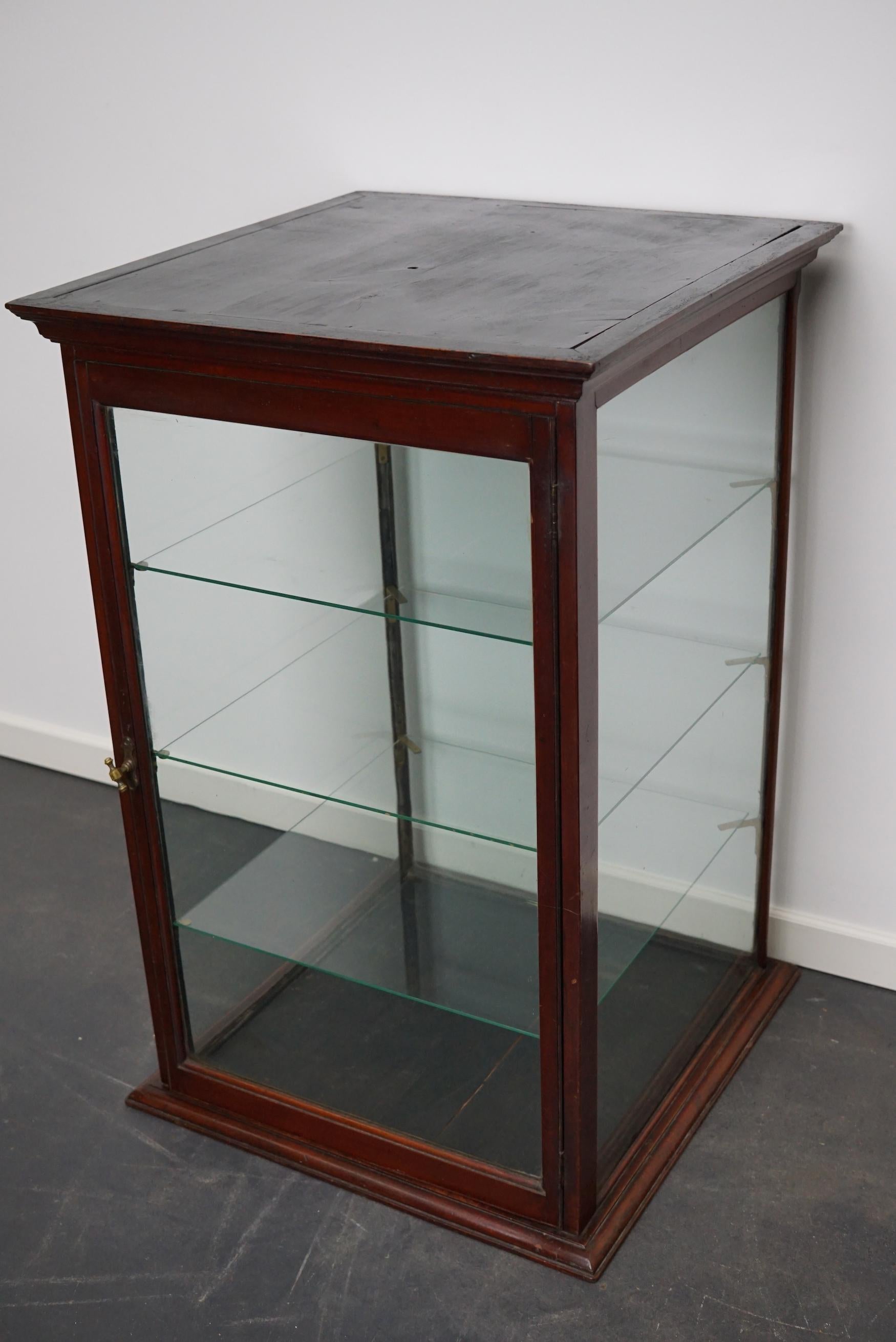 Victorian Mahogany Museum / Shop Display Cabinet or Vitrine, Late 19th Century 10