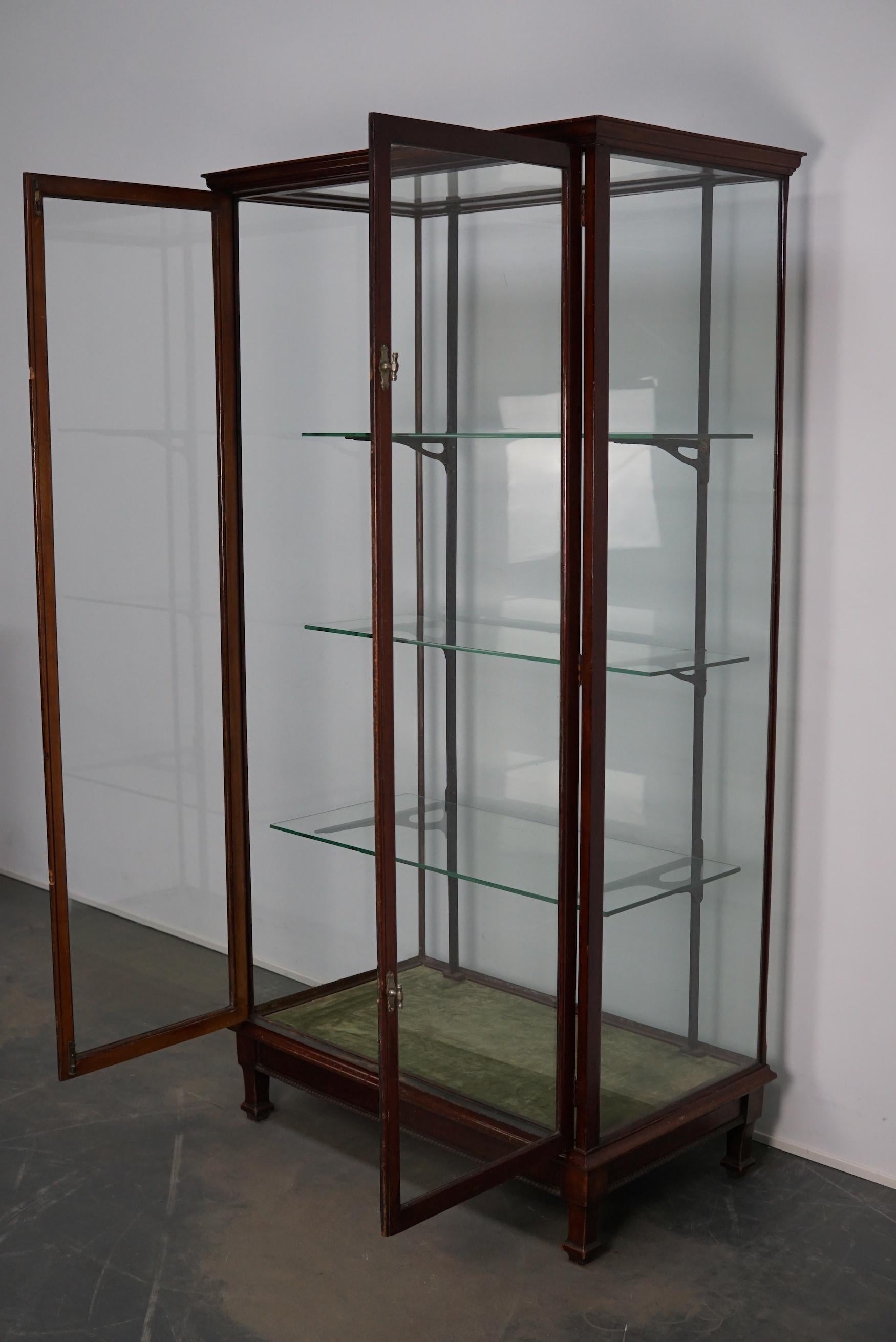 Victorian Mahogany Museum / Shop Display Cabinet or Vitrine, Late 19th Century For Sale 8