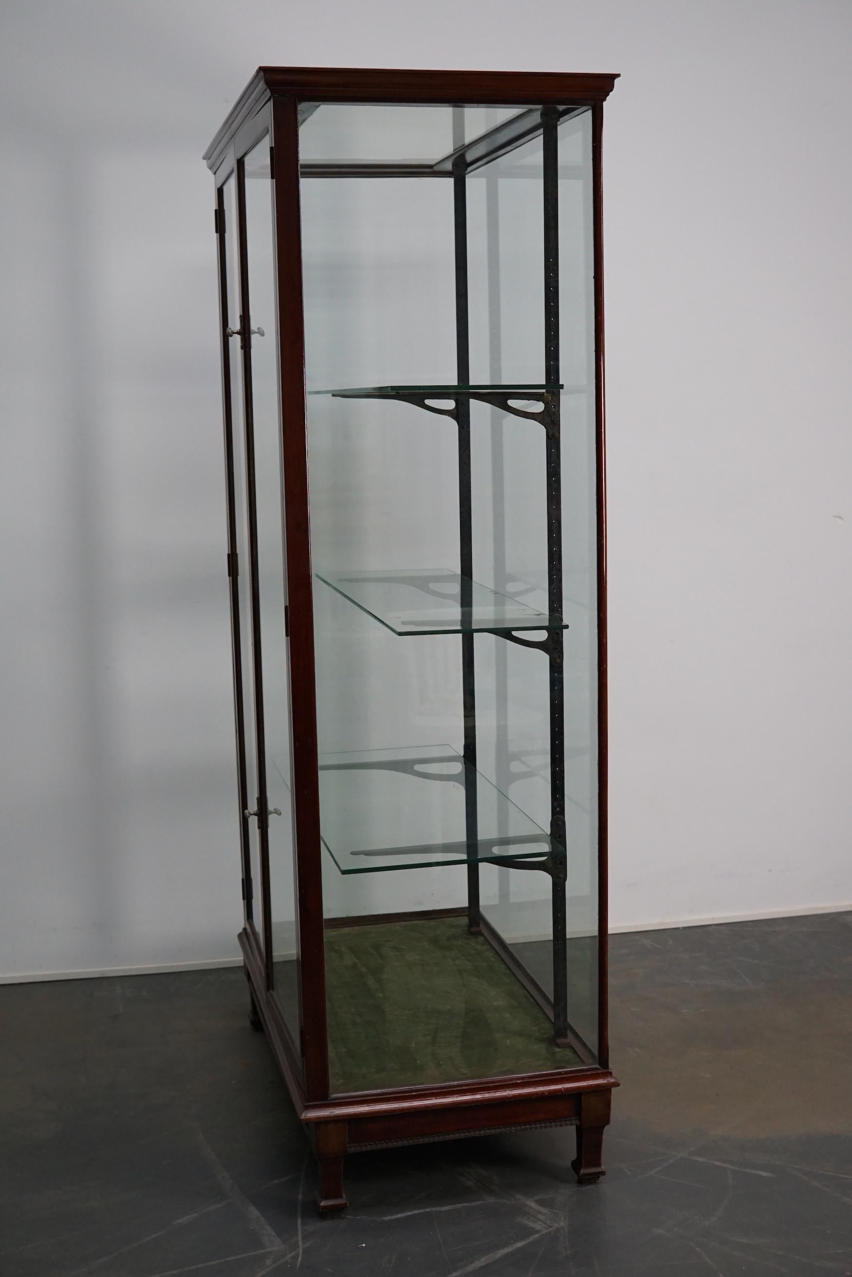 Victorian Mahogany Museum / Shop Display Cabinet or Vitrine, Late 19th Century For Sale 11