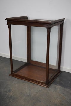 Victorian Mahogany Museum / Shop Display Cabinet or Vitrine, Late 19th Century