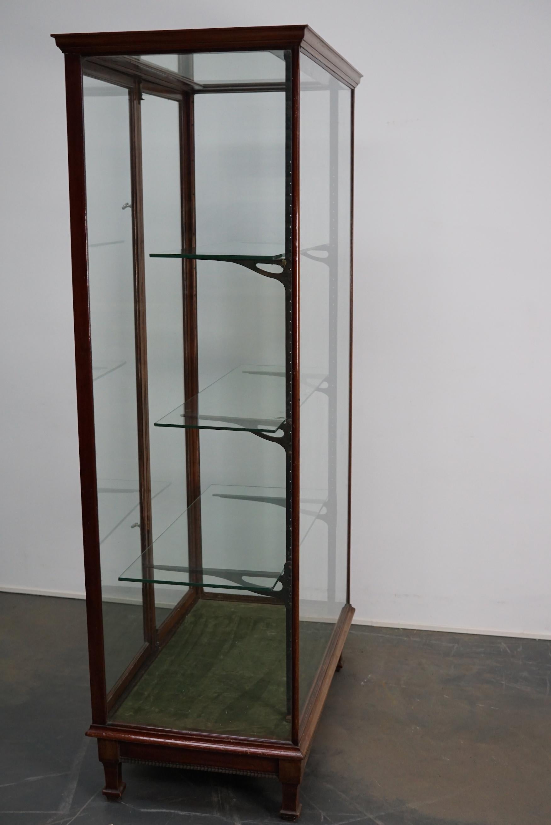 Victorian Mahogany Museum / Shop Display Cabinet or Vitrine, Late 19th Century For Sale 12