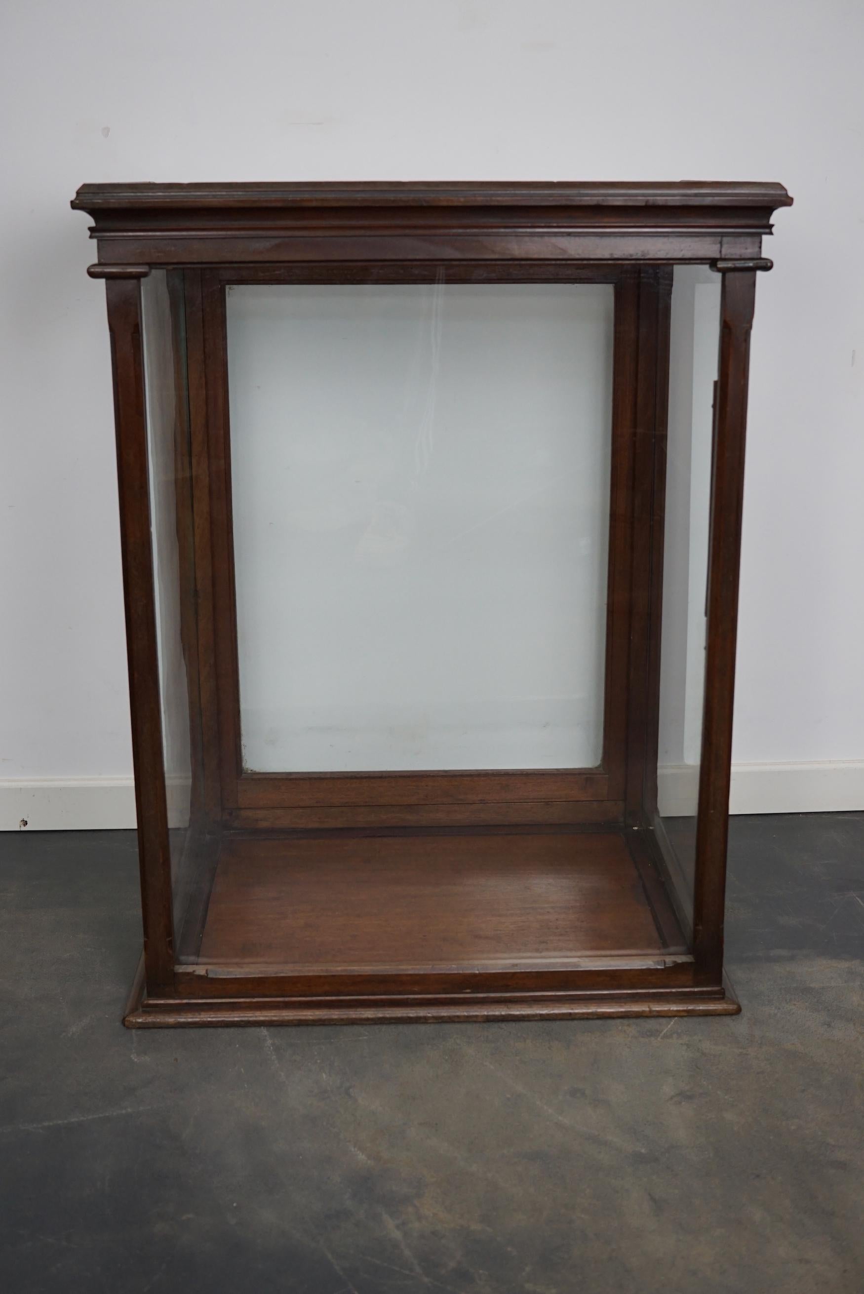 Late Victorian Victorian Mahogany Museum / Shop Display Cabinet or Vitrine, Late 19th Century For Sale