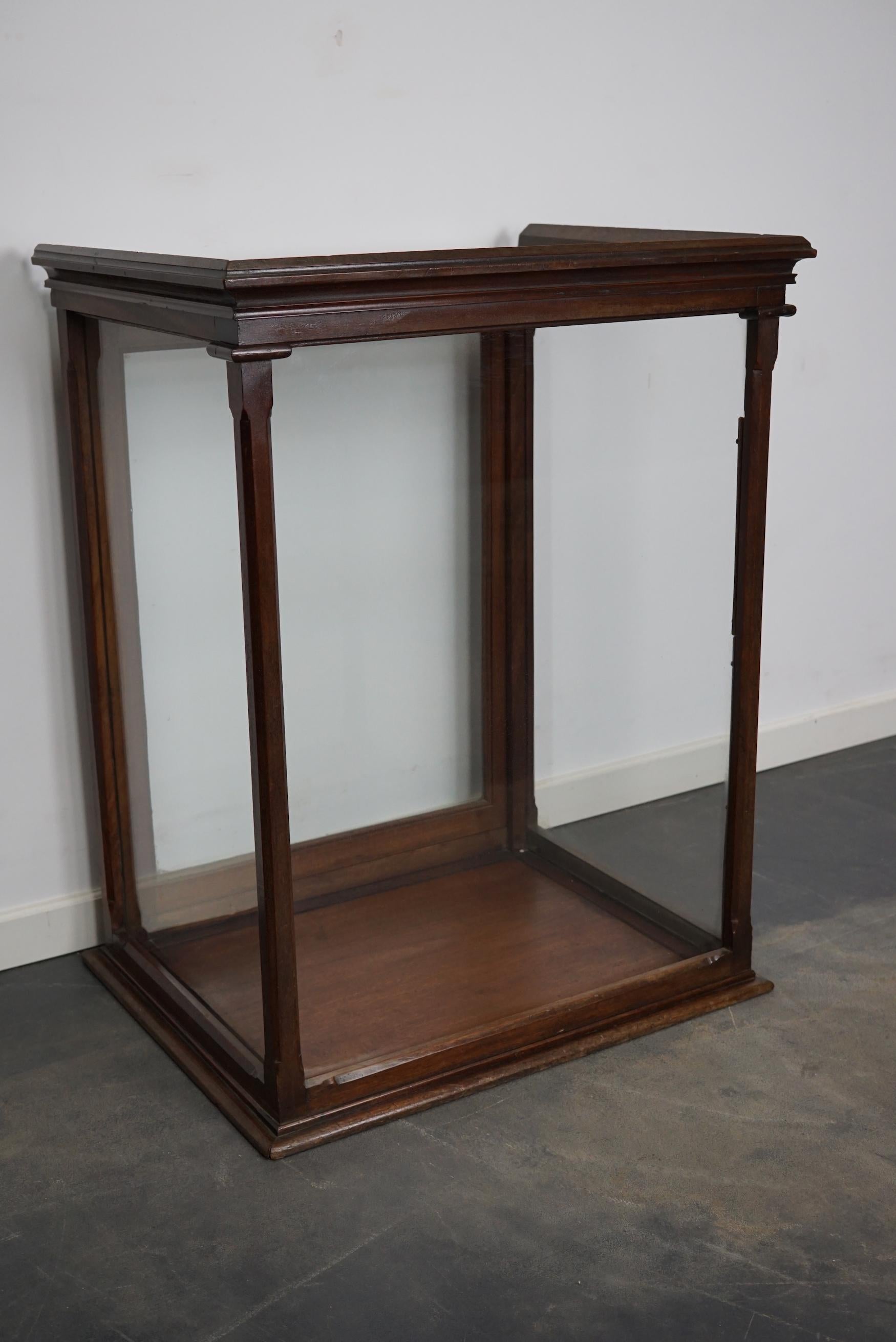 British Victorian Mahogany Museum / Shop Display Cabinet or Vitrine, Late 19th Century For Sale