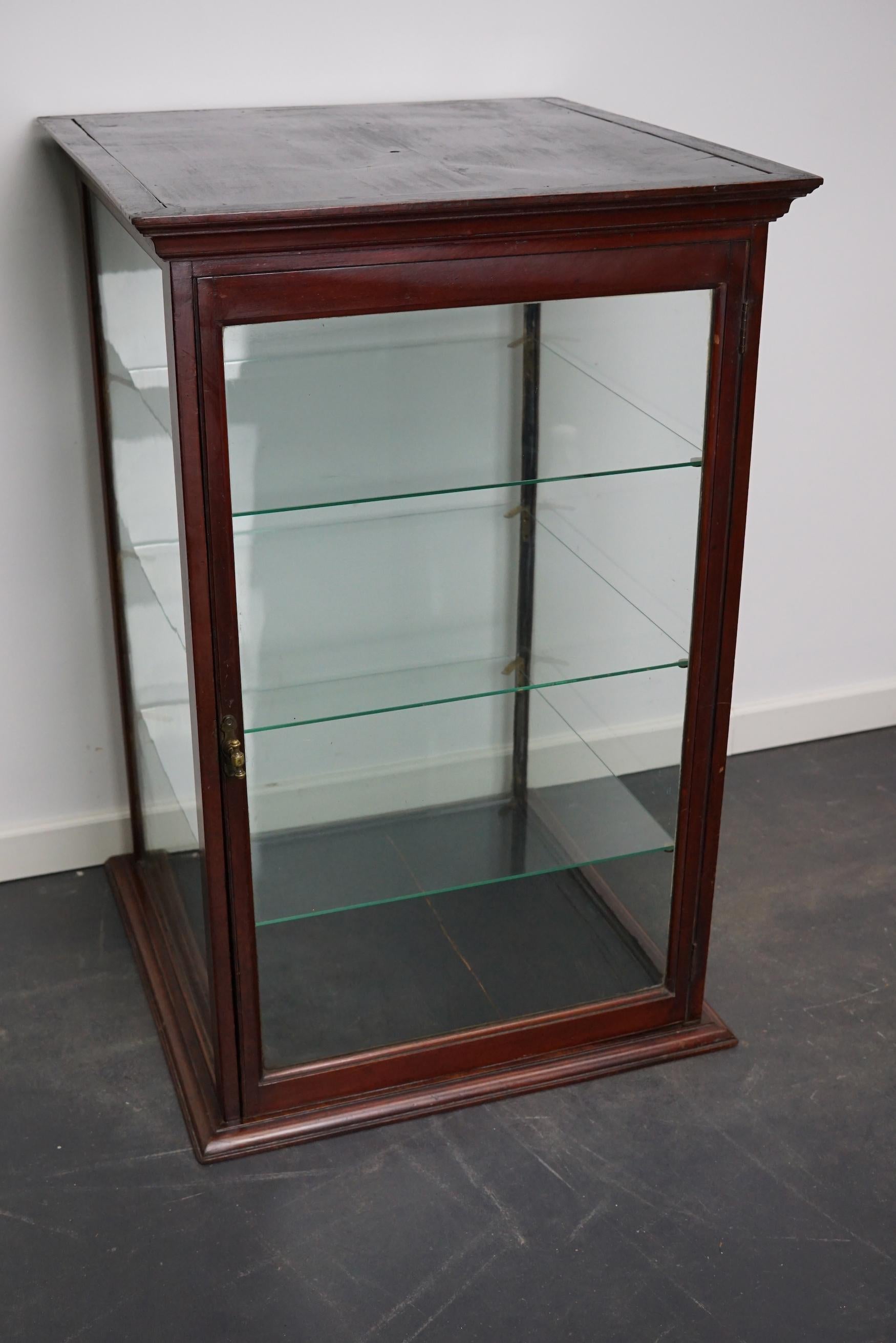 Victorian Mahogany Museum / Shop Display Cabinet or Vitrine, Late 19th Century In Good Condition In Nijmegen, NL
