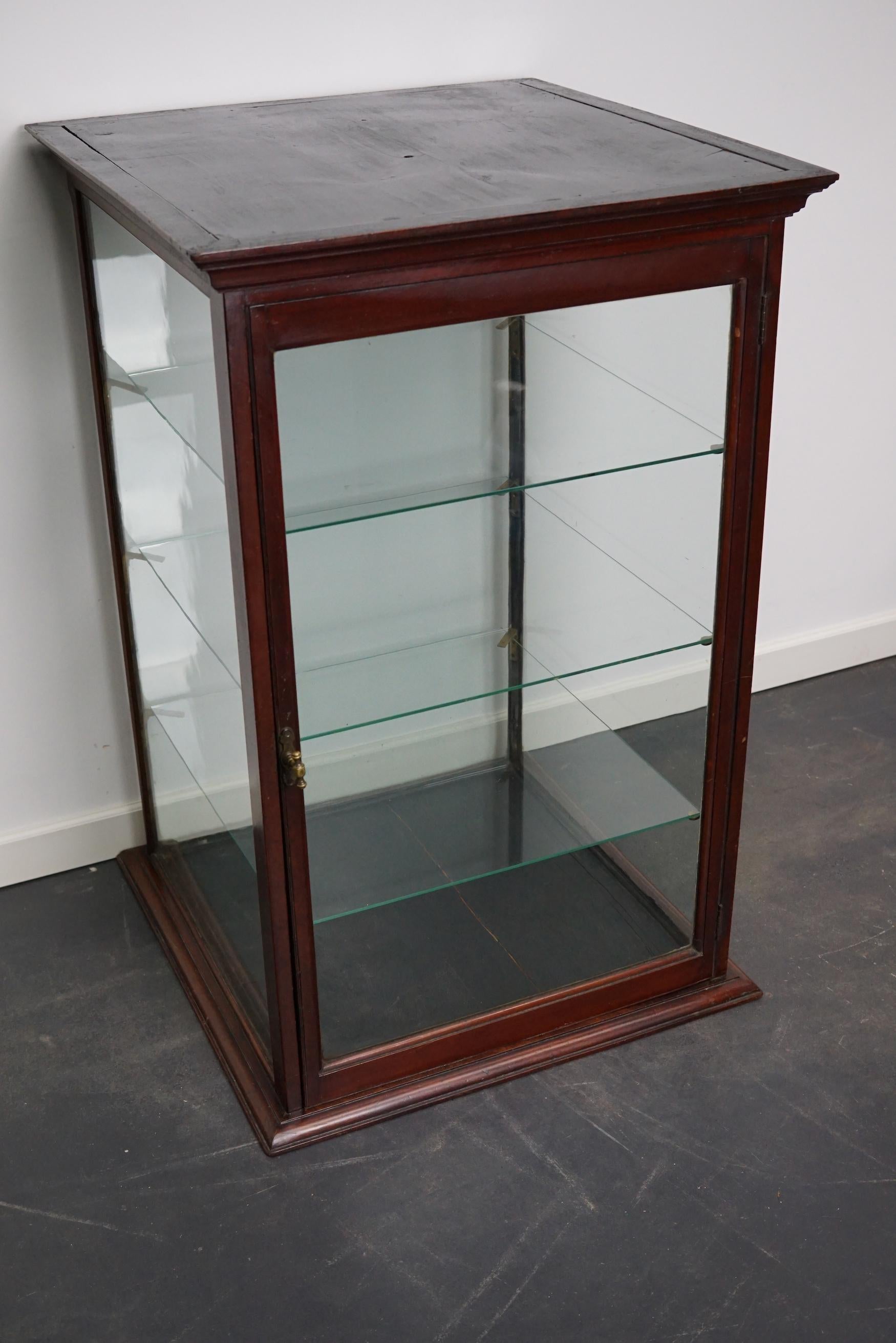 Victorian Mahogany Museum / Shop Display Cabinet or Vitrine, Late 19th Century 2