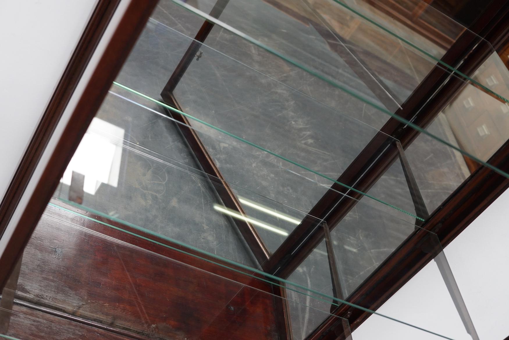British Victorian Mahogany Museum / Shop Display Cabinet or Vitrine, Late 19th Century