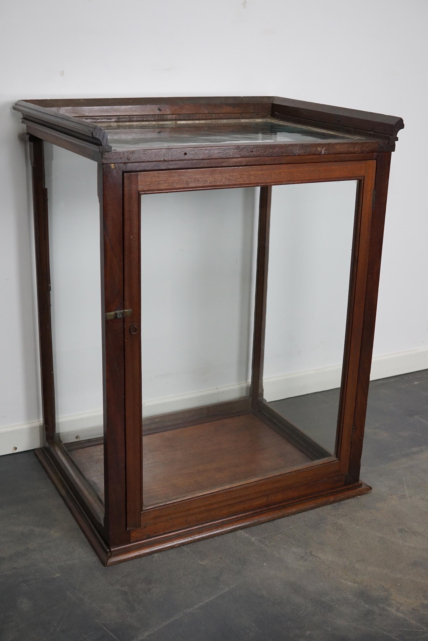 Victorian Mahogany Museum / Shop Display Cabinet or Vitrine, Late 19th Century For Sale 3