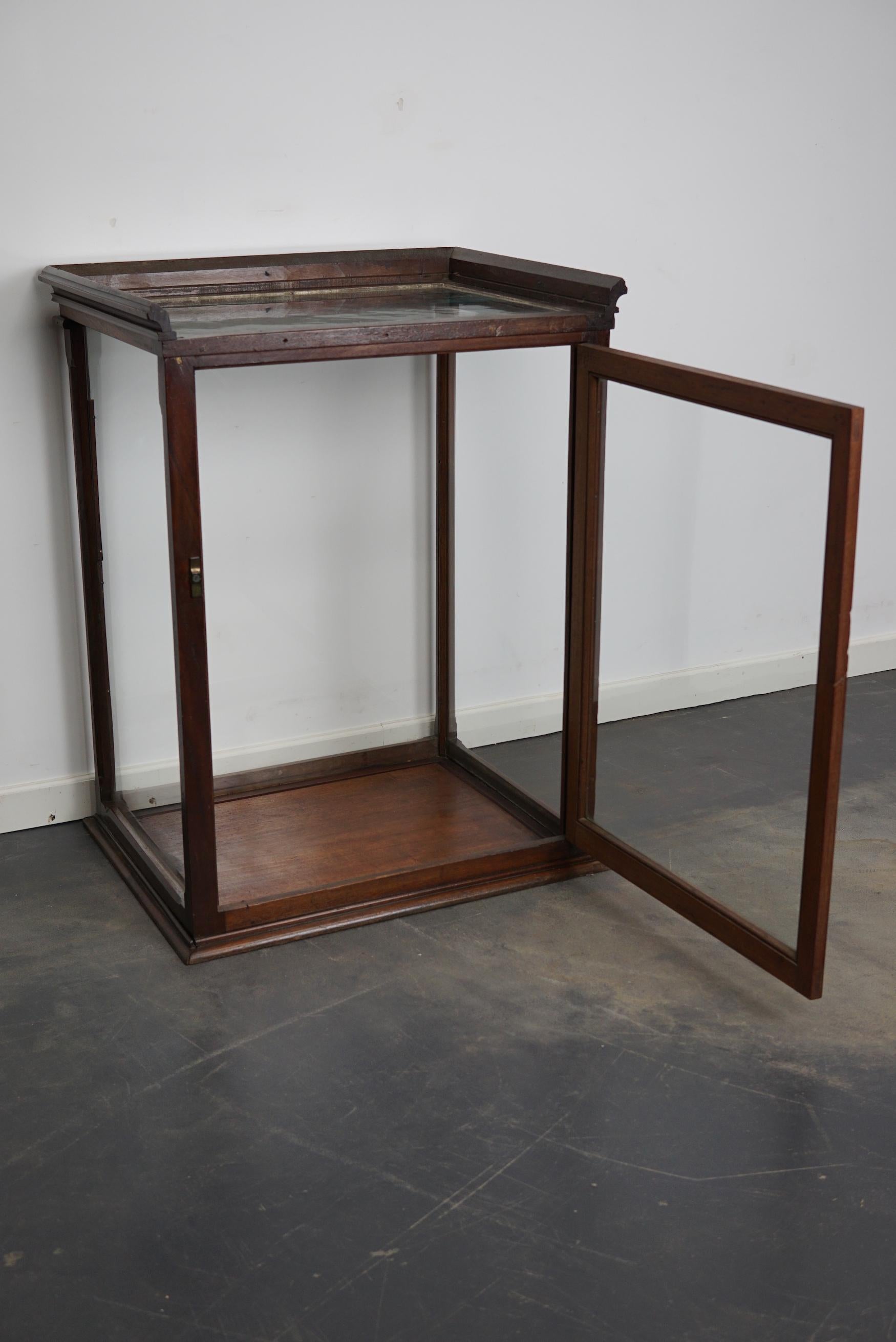 Victorian Mahogany Museum / Shop Display Cabinet or Vitrine, Late 19th Century For Sale 4