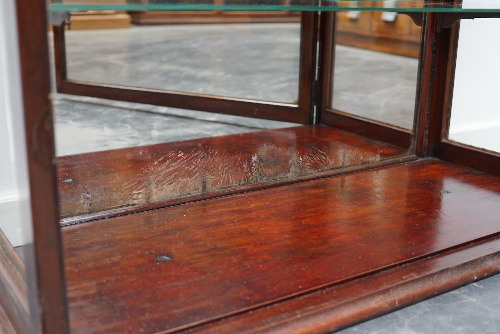 Victorian Mahogany Museum / Shop Display Cabinet or Vitrine, Late 19th Century For Sale 1