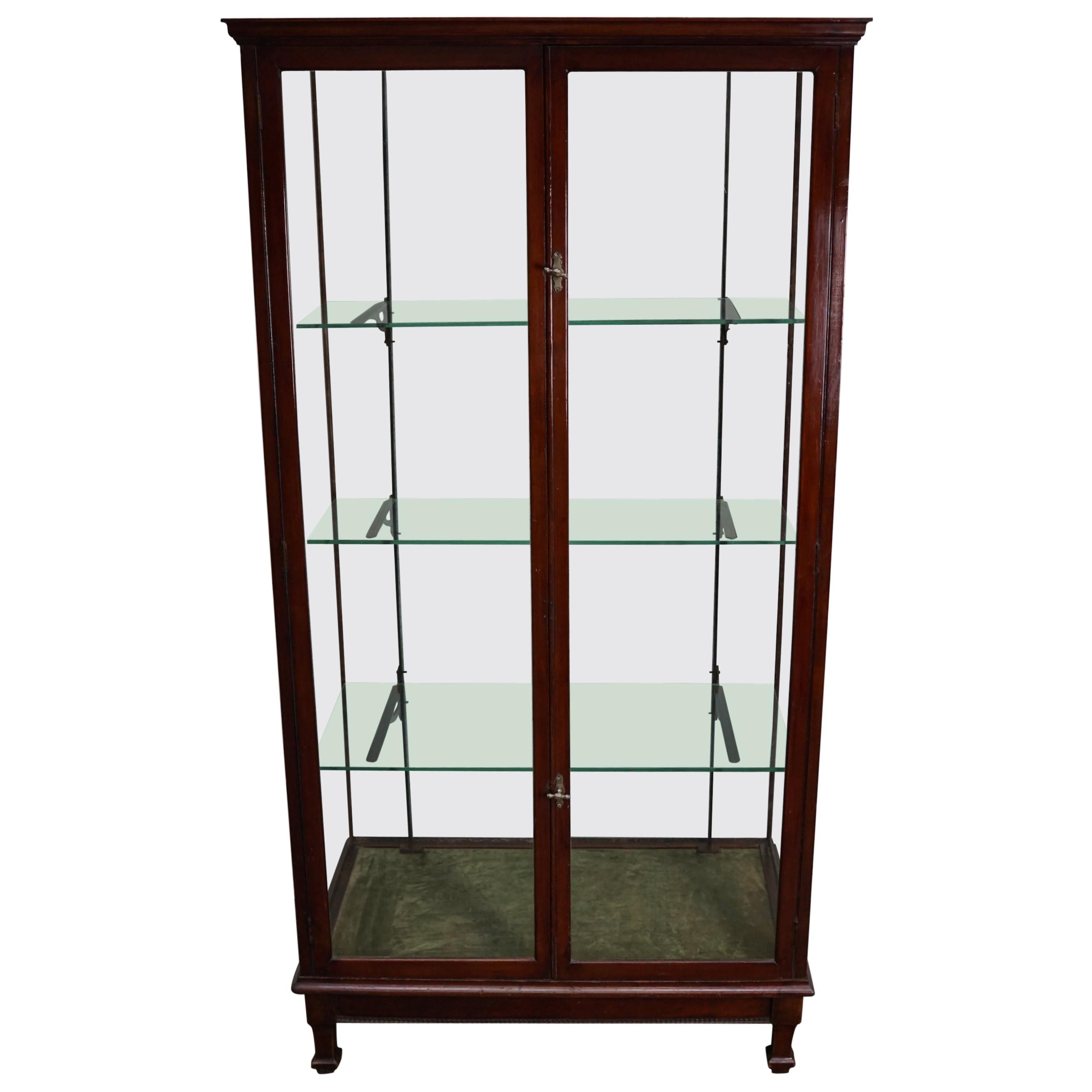 Victorian Mahogany Museum / Shop Display Cabinet or Vitrine, Late 19th Century For Sale