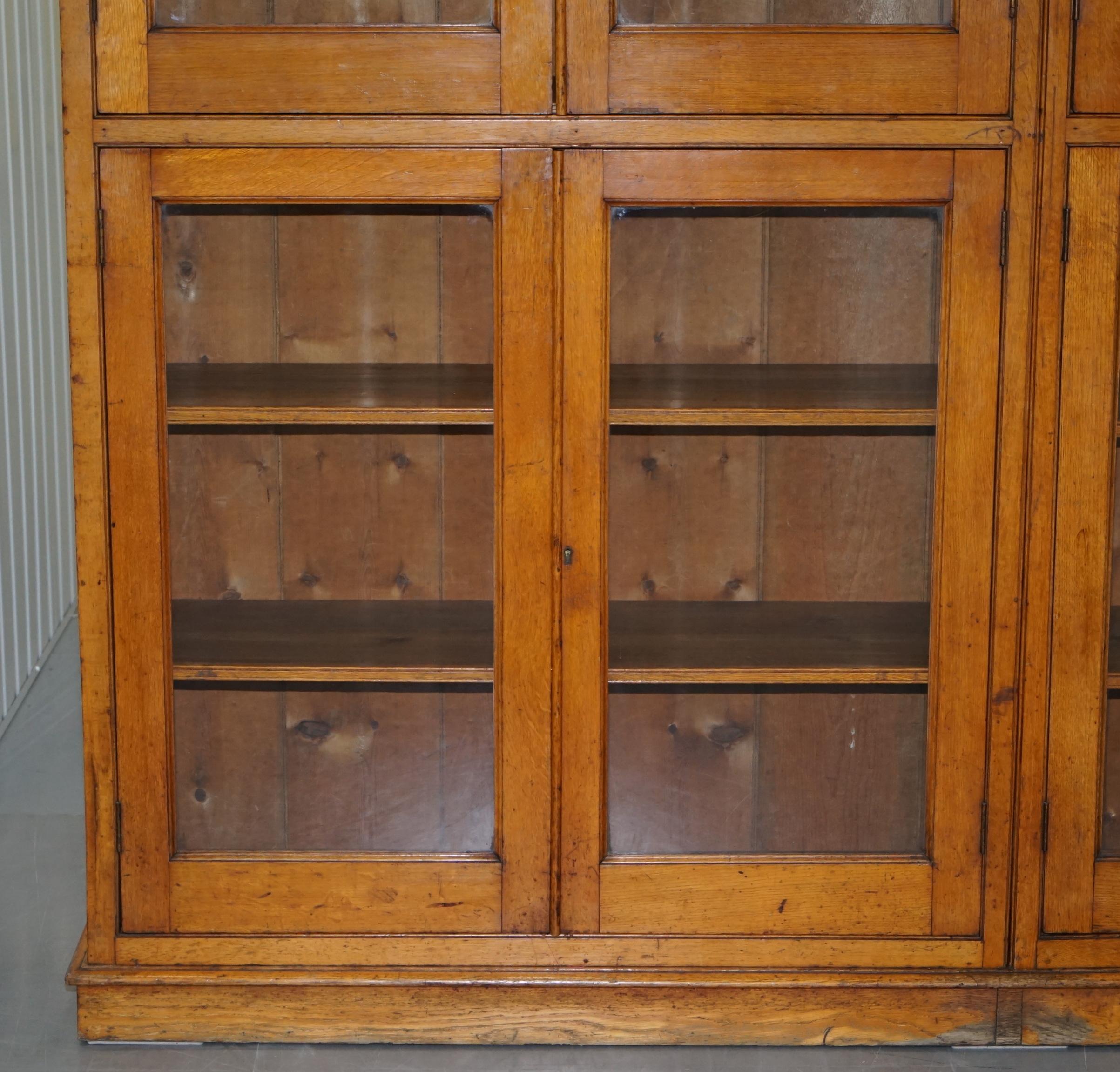 Viktorianisches Mahagoni & Eiche Bibliothek Bücherregal Schrank Verstellbare Regale Glastüren (19. Jahrhundert)