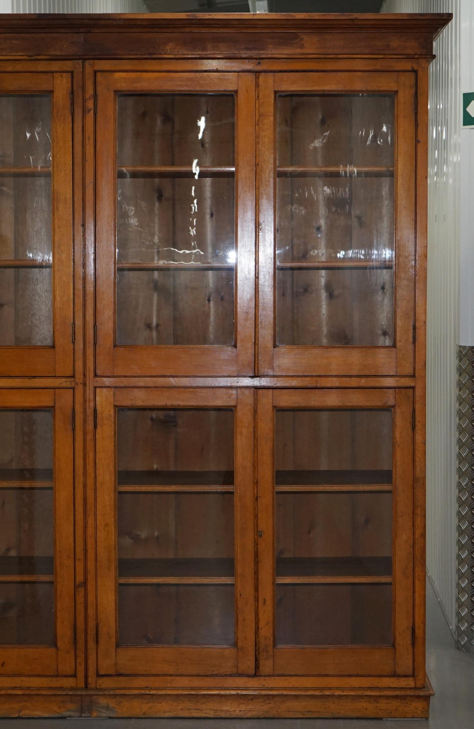 Hand-Carved Victorian Mahogany & Oak Library Bookcase Cabinet Adjustable Shelves Glass Doors