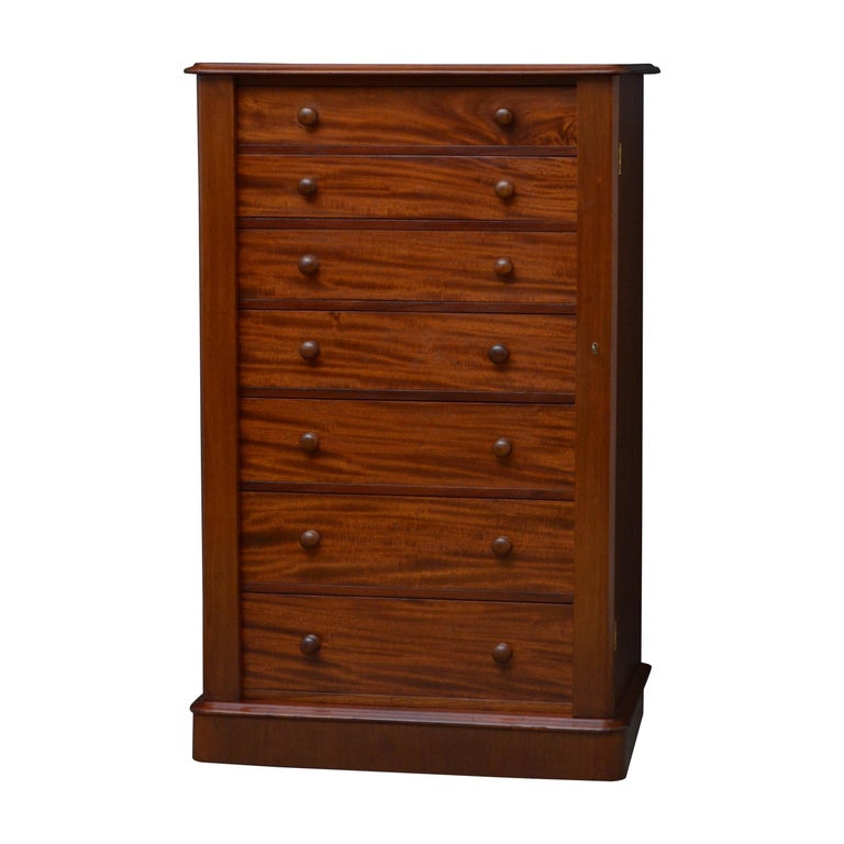 Victorian Mahogany Wellington Chest For Sale at 1stDibs