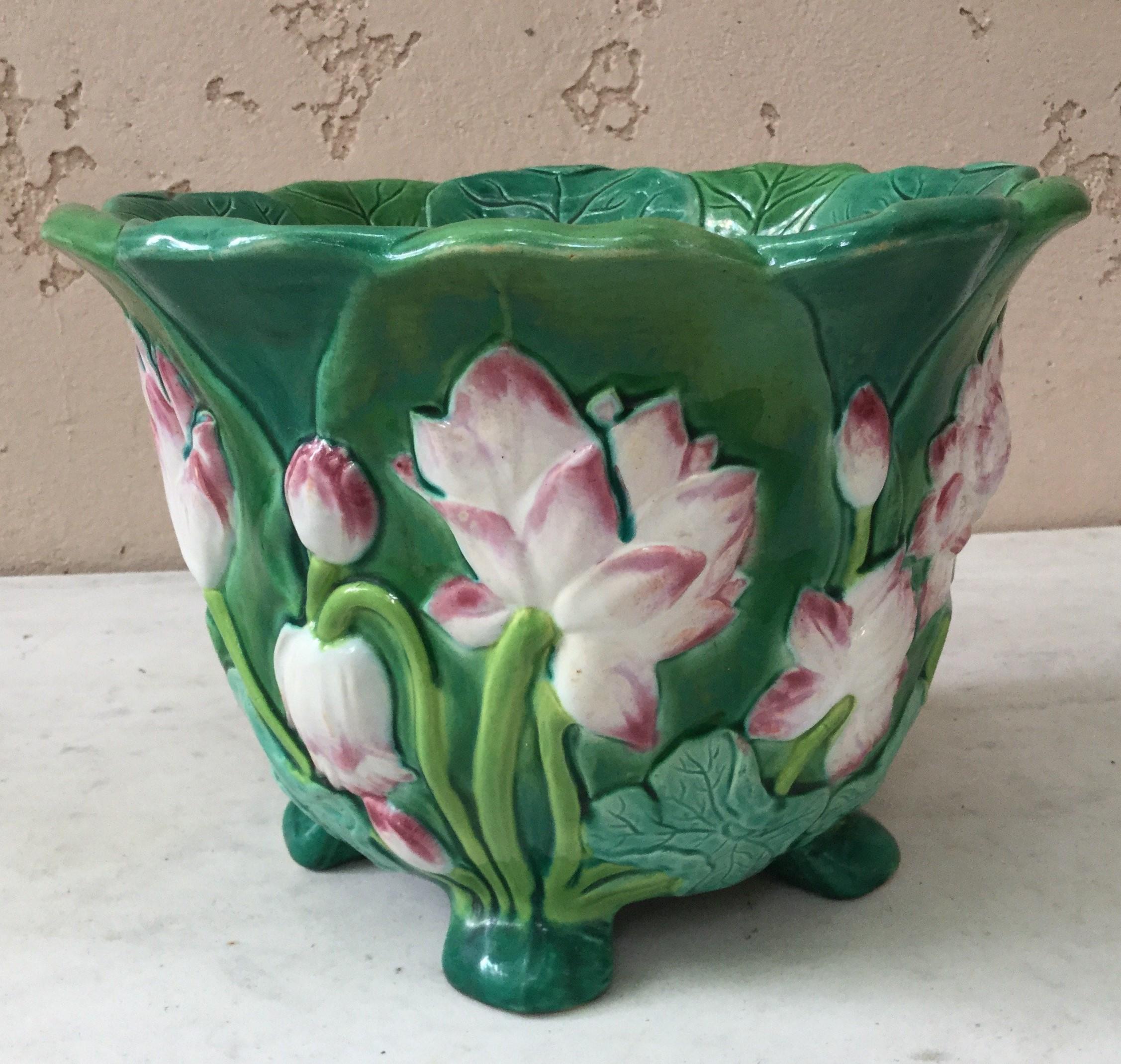 Victorian Majolica jardinière white pond lily blossoms with pink edge signed Minton, circa 1860.