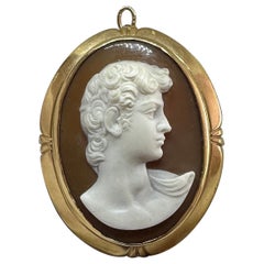 Victorian Michelangelo David Cameo Pendant Brooch Signed Castaldi 14K Gold