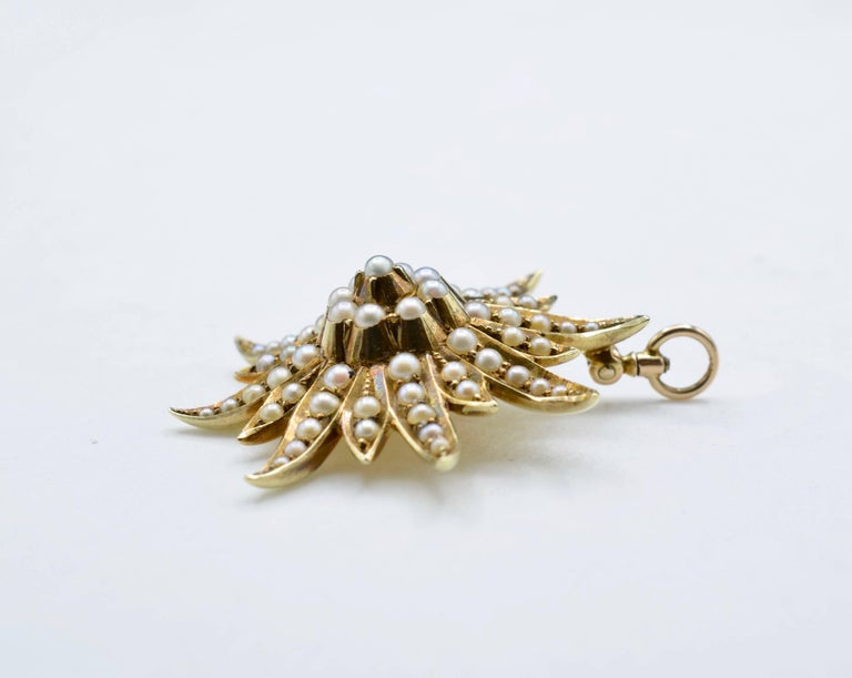 Star Seed Pearl Pendant Necklace main image 0