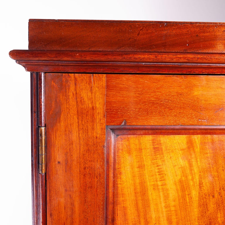 Victorian Natural History Museum Specimen Chest of at